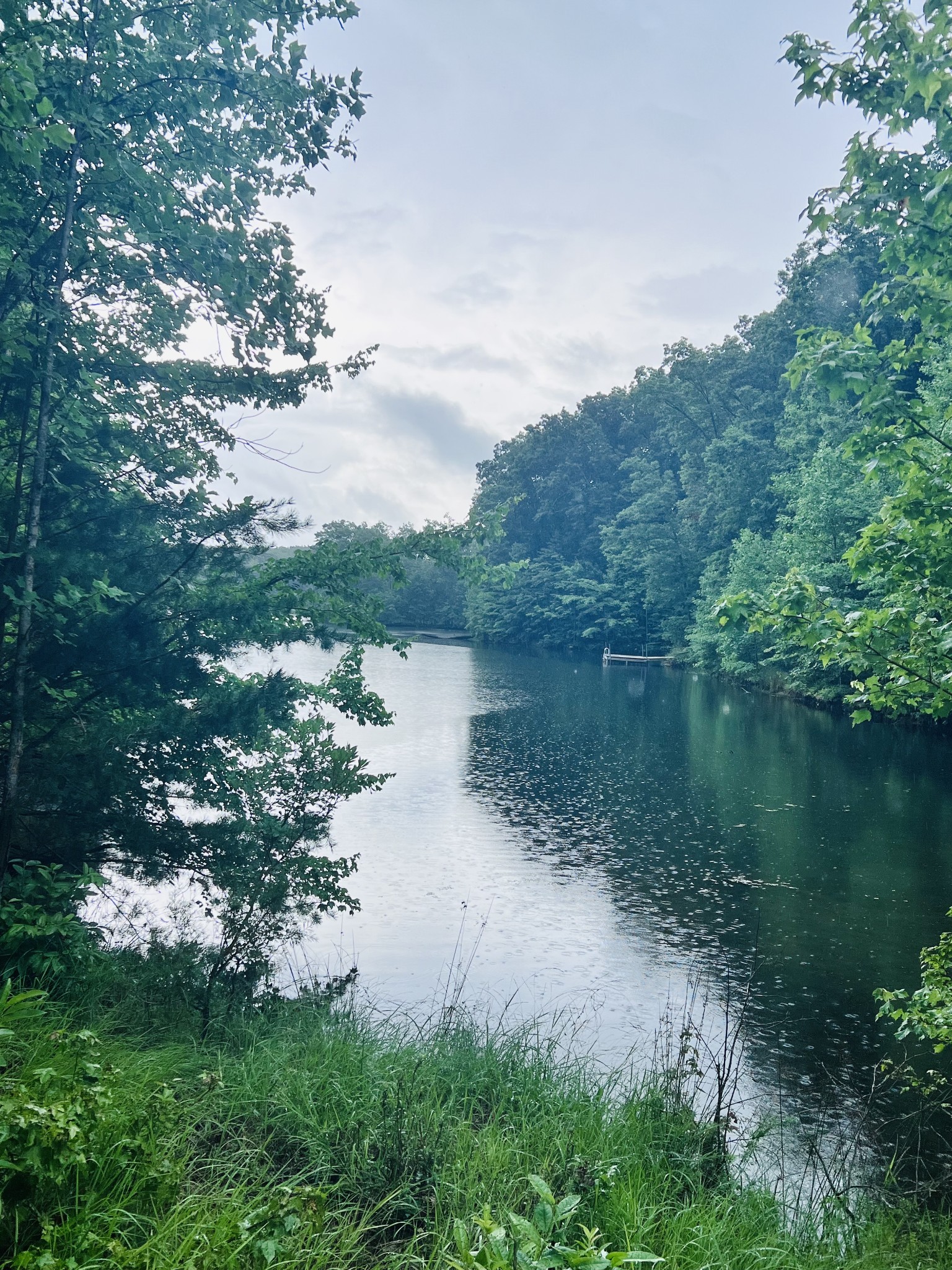 0 Lake Louisa Loop