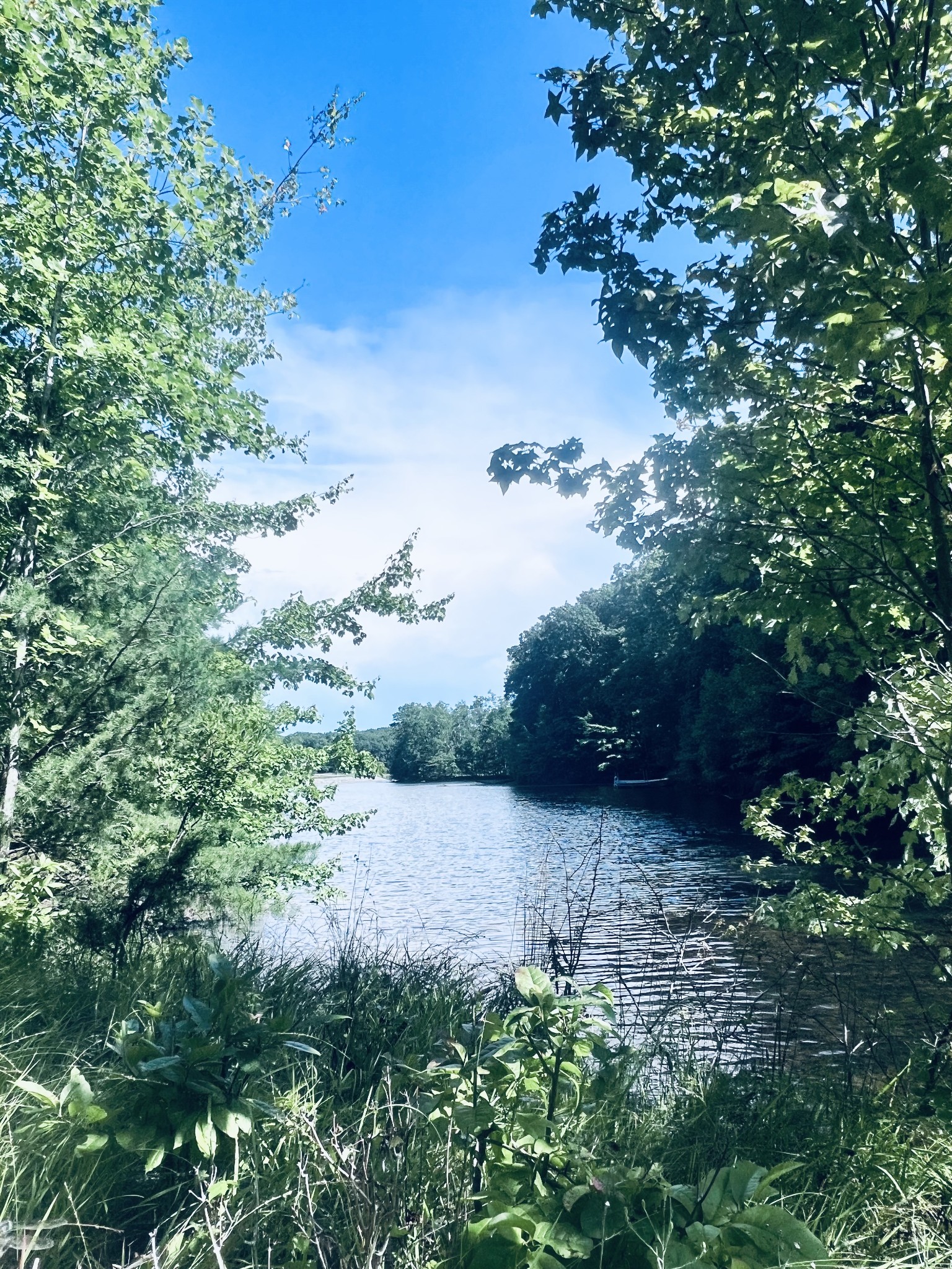 0 Lake Louisa Loop
