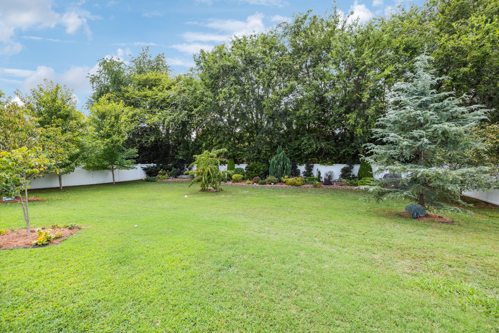 2921 Caraway Drive