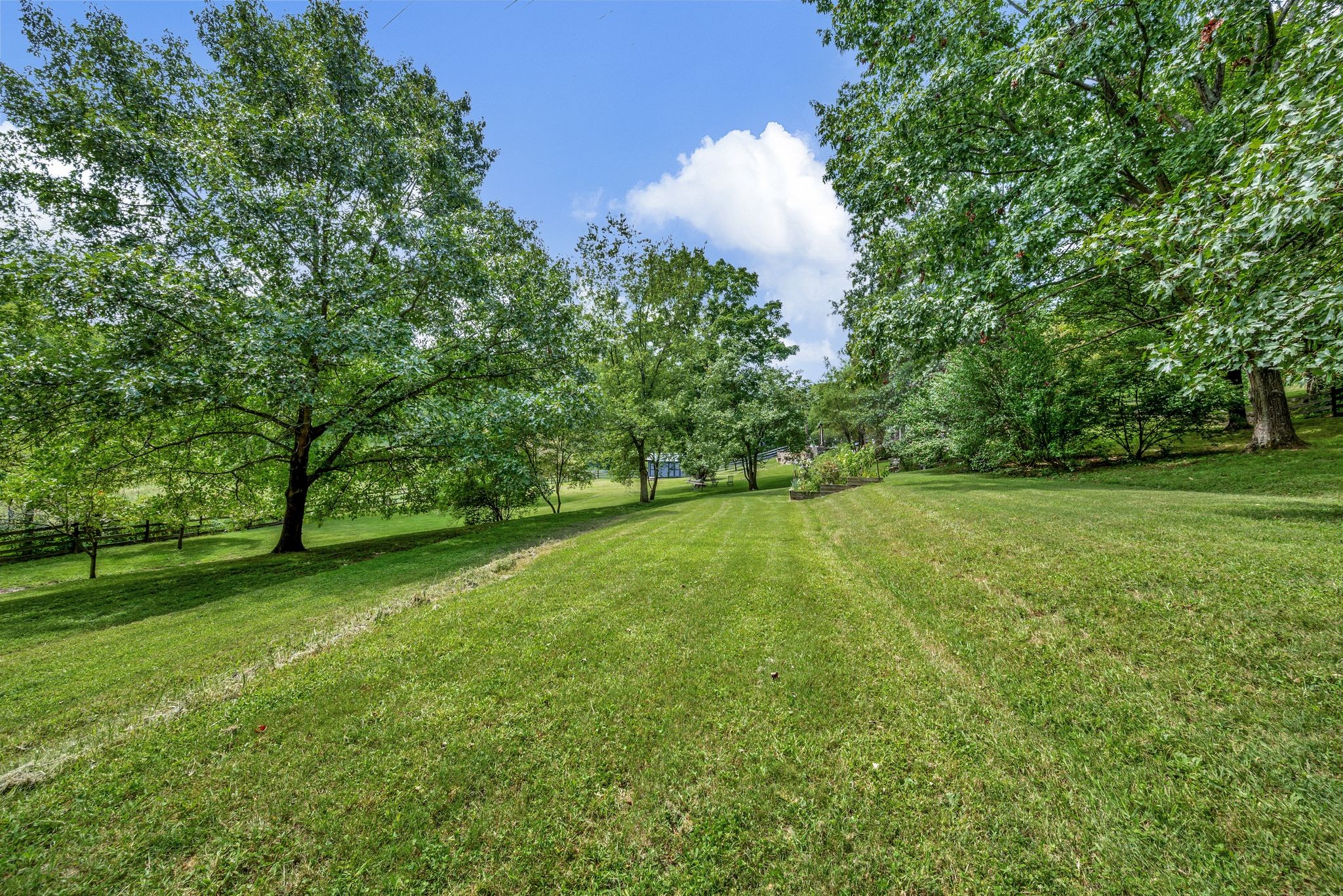1427 Finnland Dr