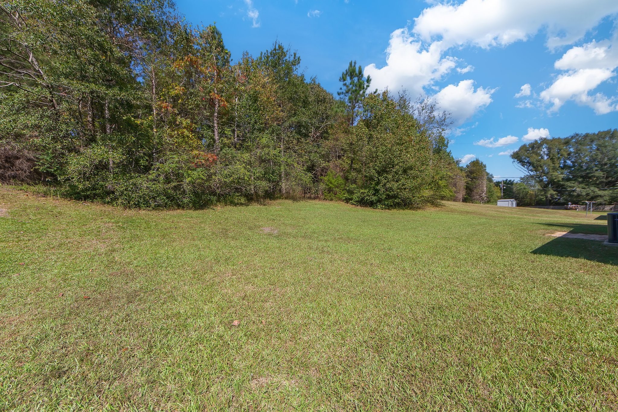 717 Blue Bonnett Ln