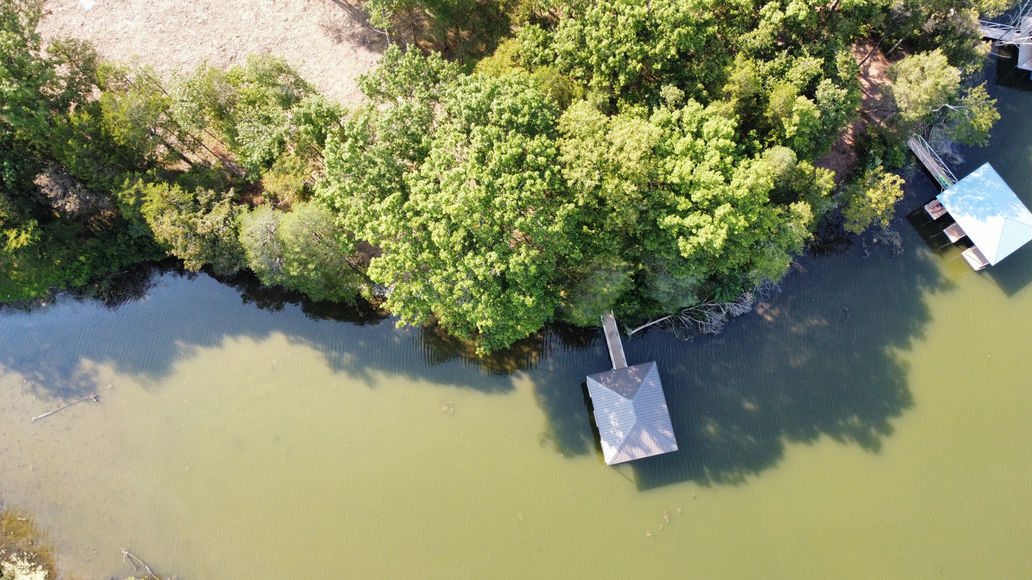 1007A Paradise City Blvd