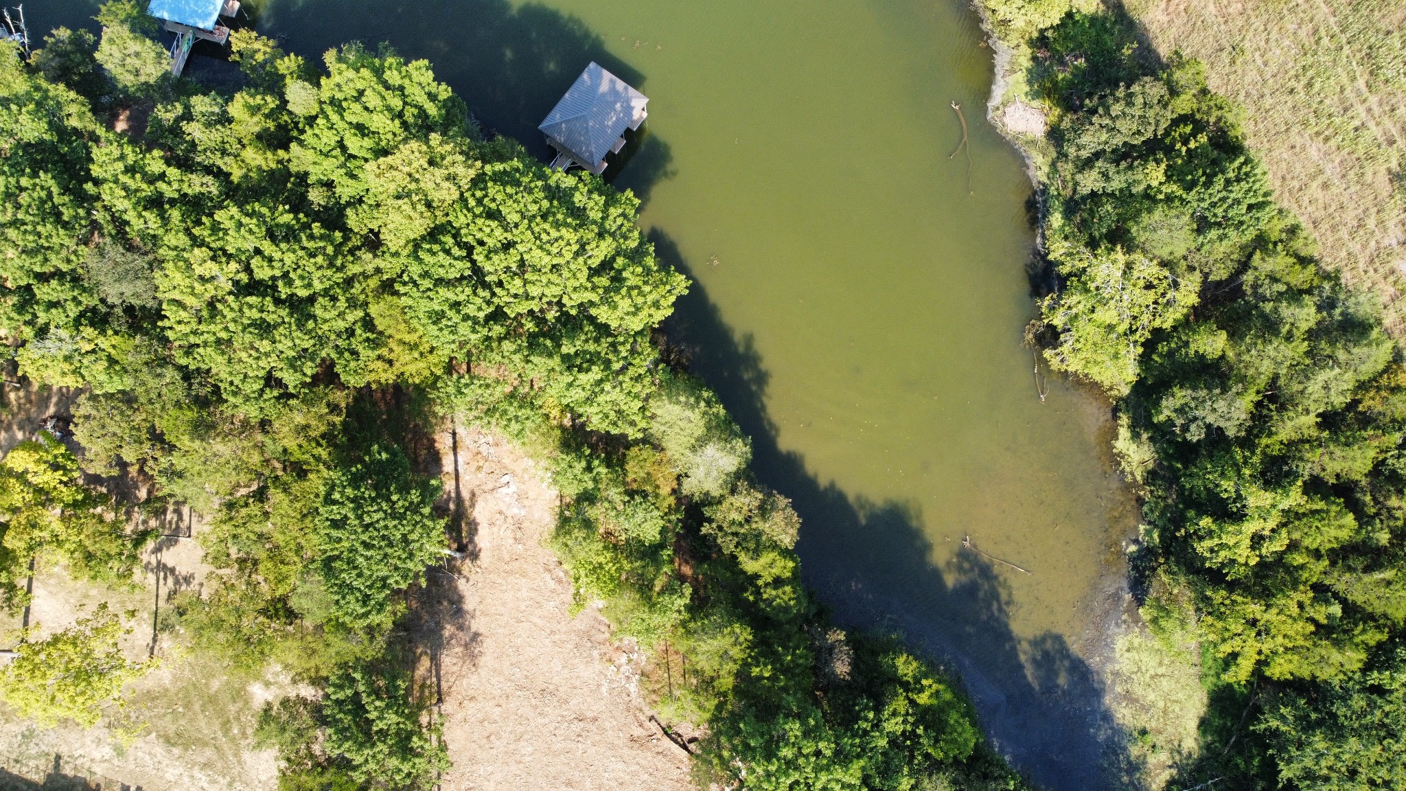 1007A Paradise City Blvd