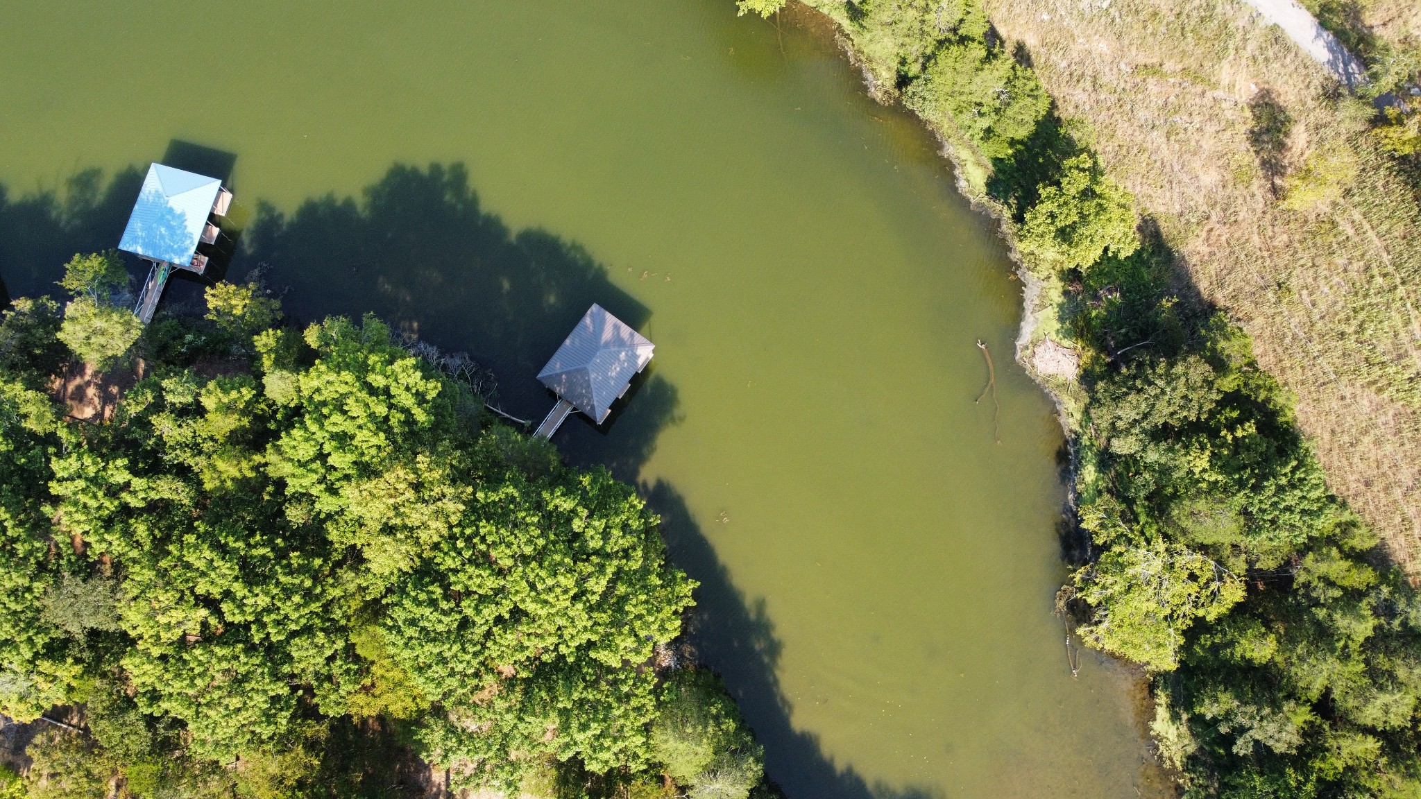 1007A Paradise City Blvd