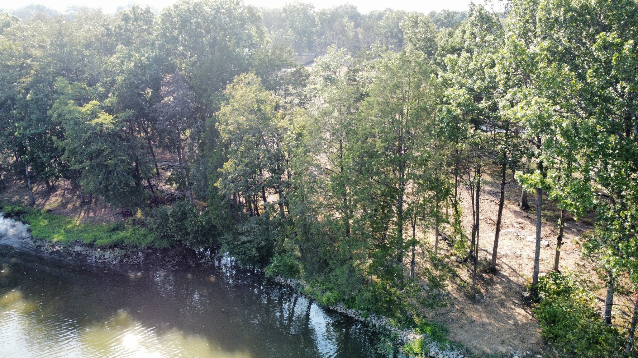 1007A Paradise City Blvd