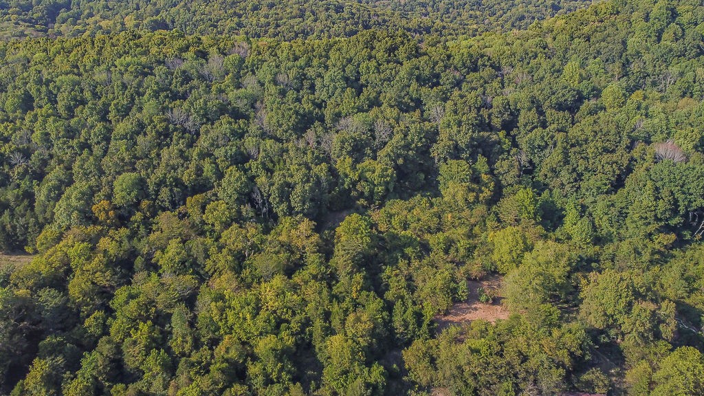 0a Henley Hollow Rd