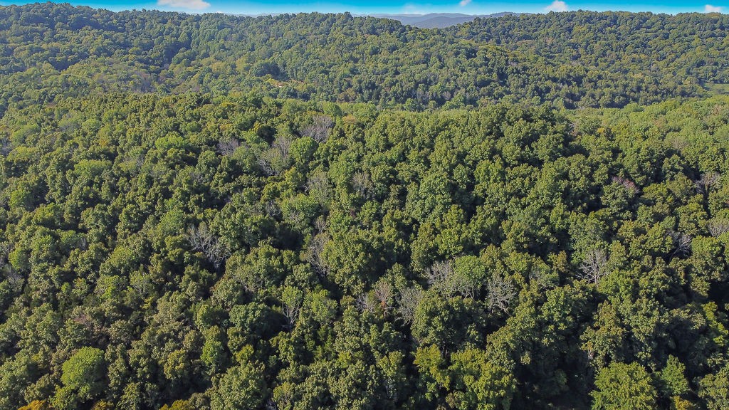 0a Henley Hollow Rd