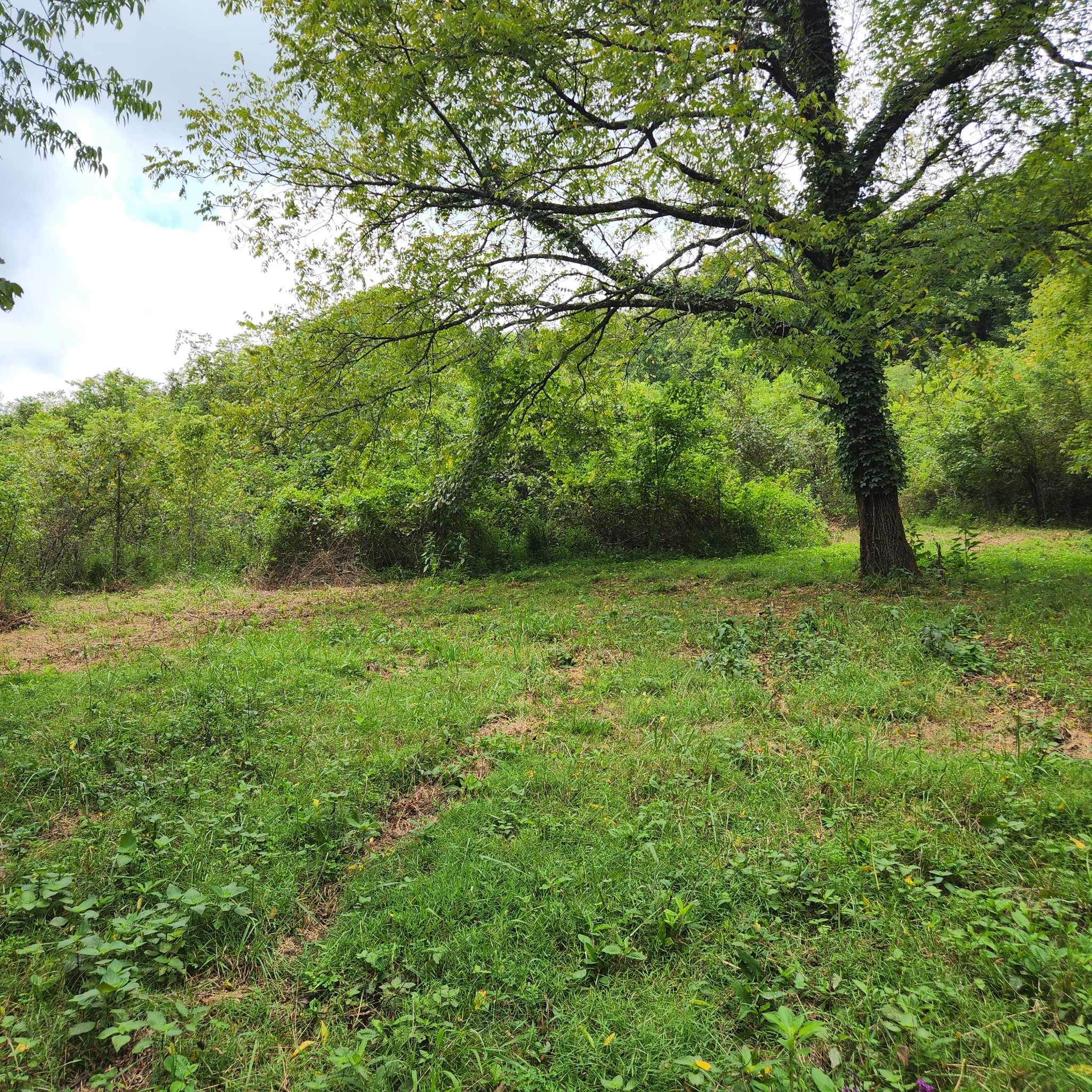 0a Henley Hollow Rd