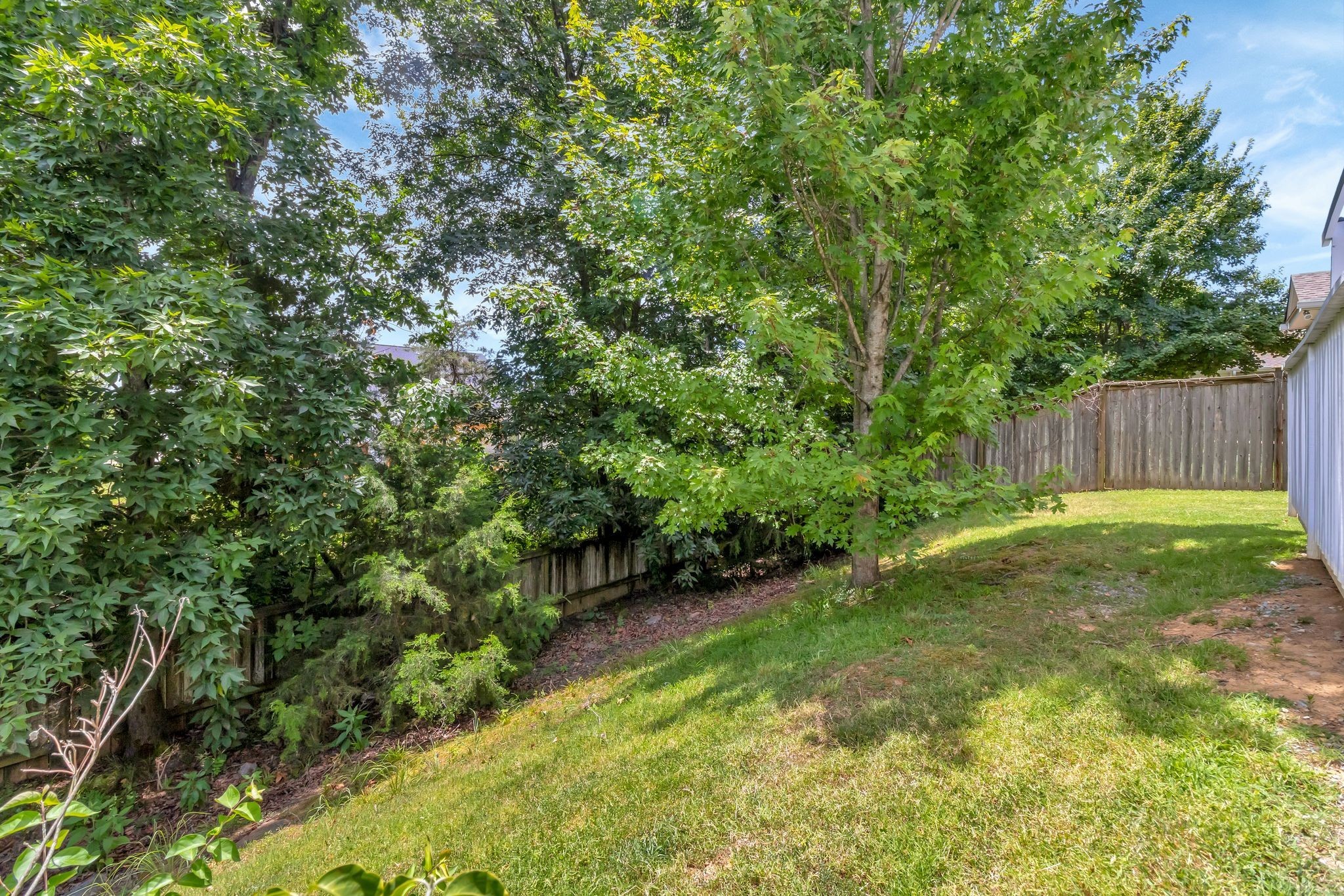 3155 Aidan Ln