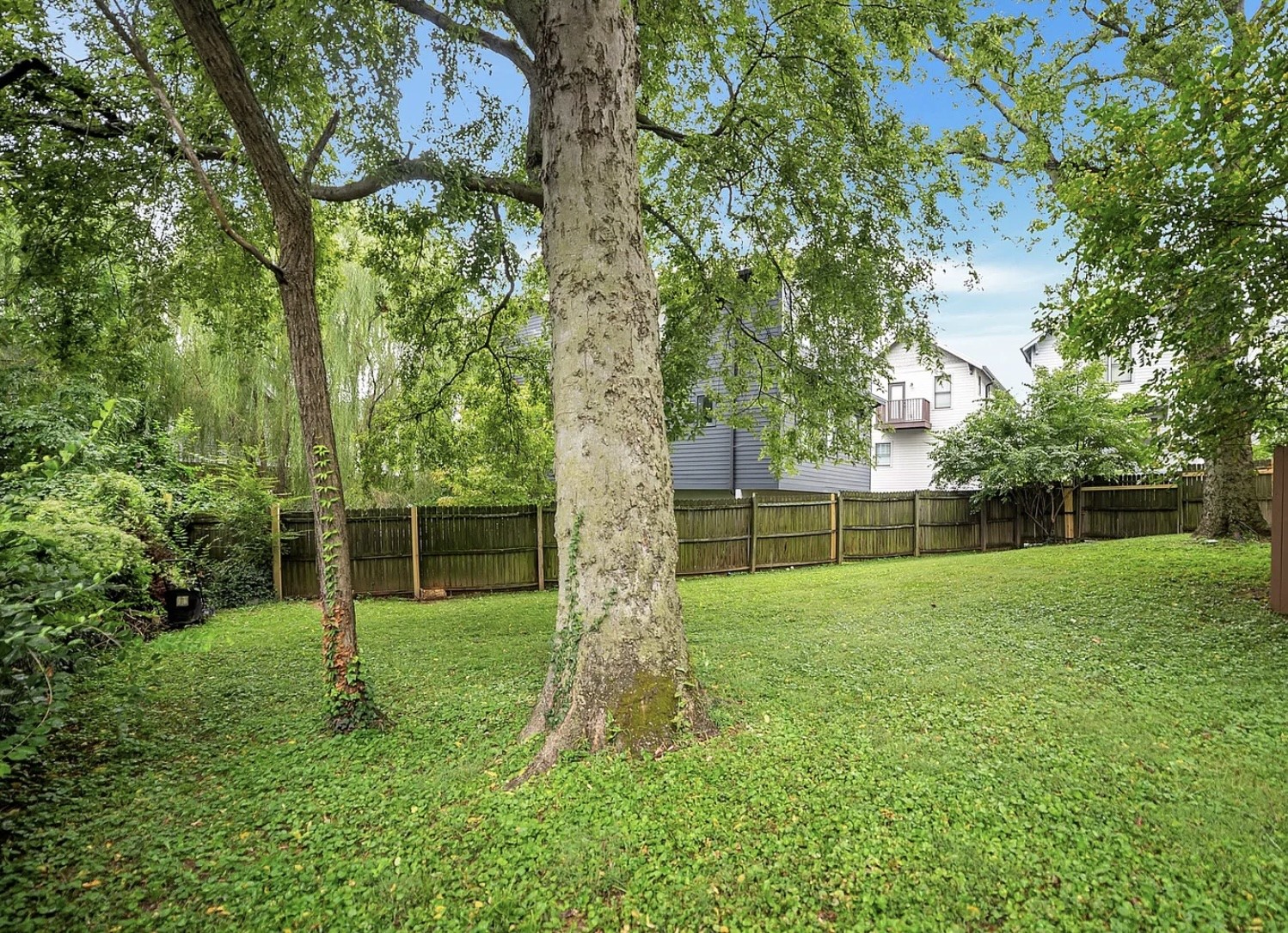 515D Chesterfield Ave Unit: D