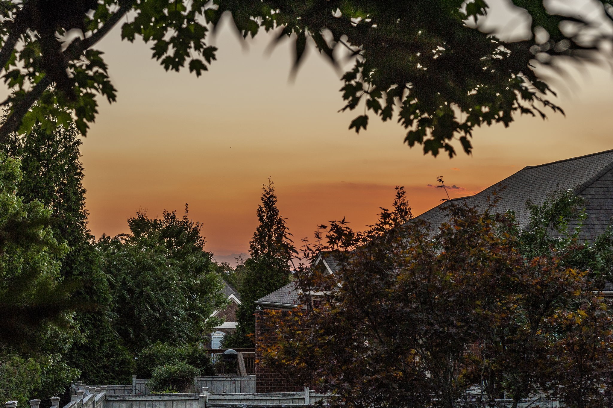 171 Cobbler Cir