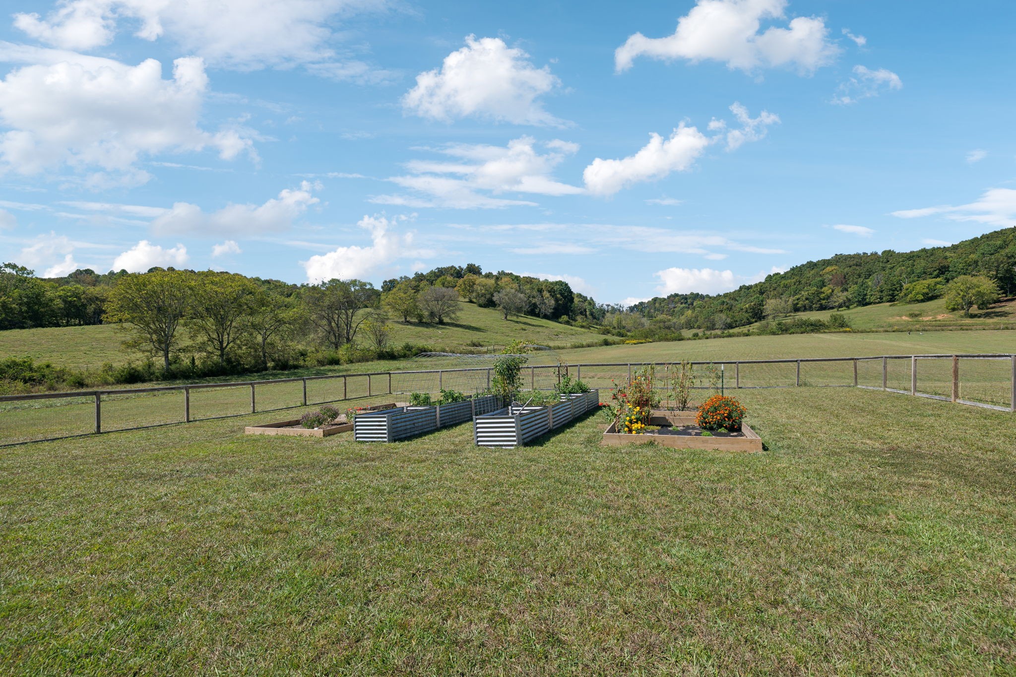 845 McBrides Branch Rd