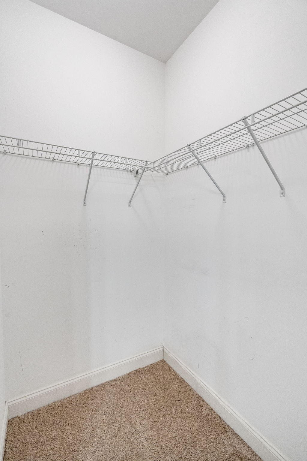 2016 W McLaughlin St