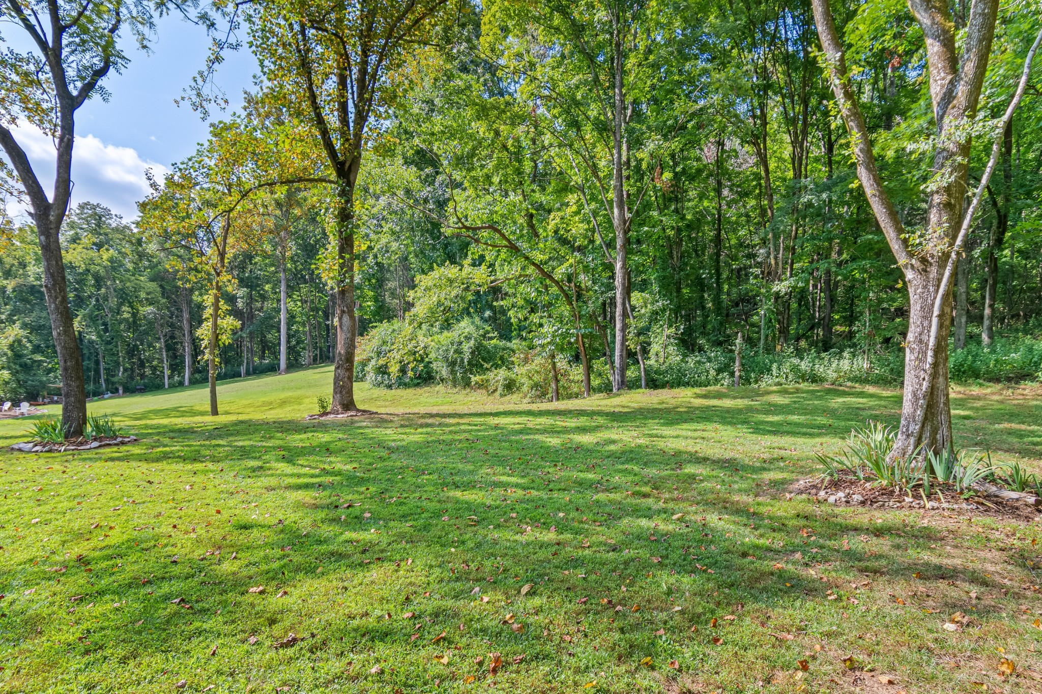 636 Weeping Willow Rd