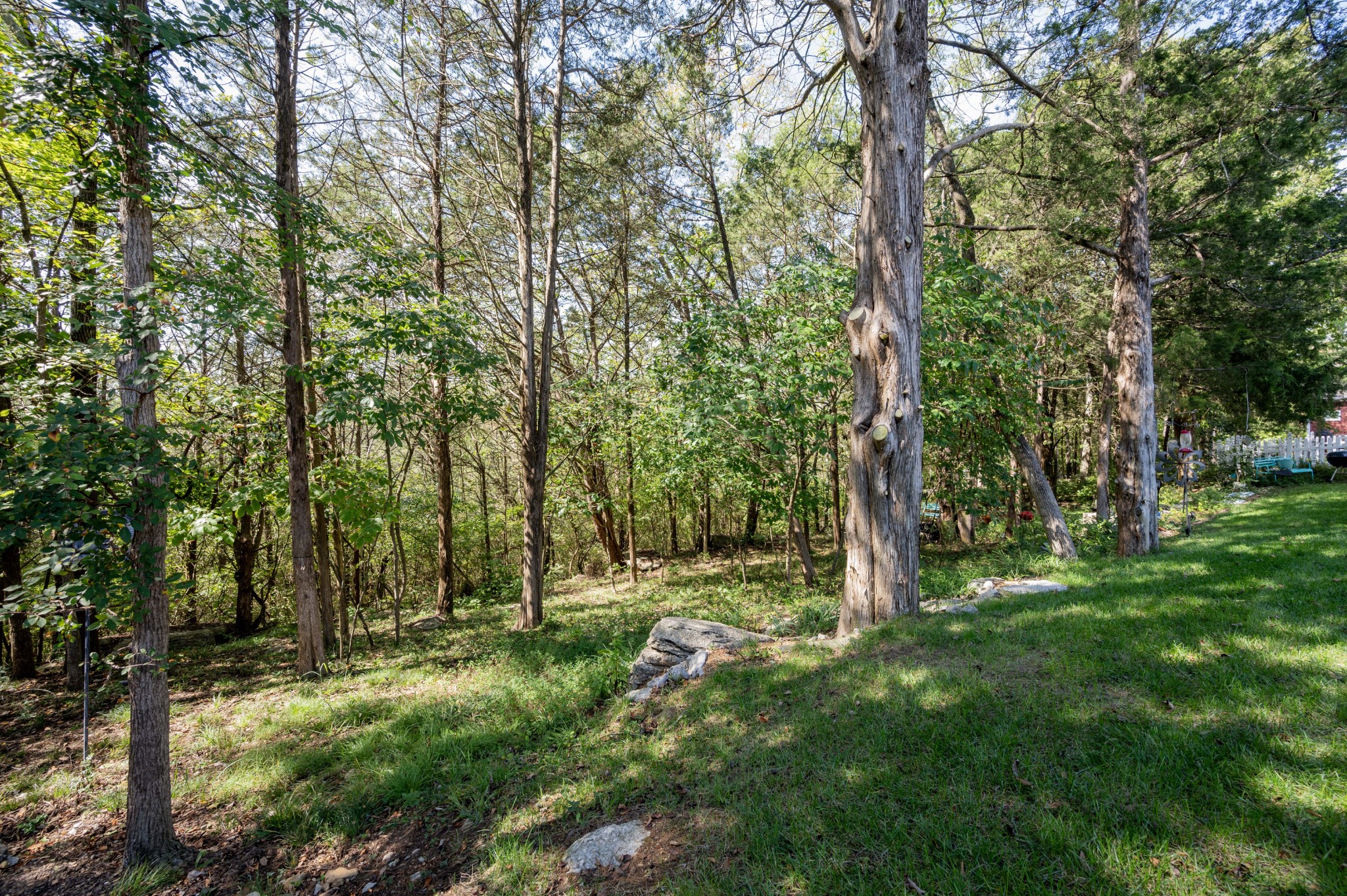 2208 Rigden Mill Dr