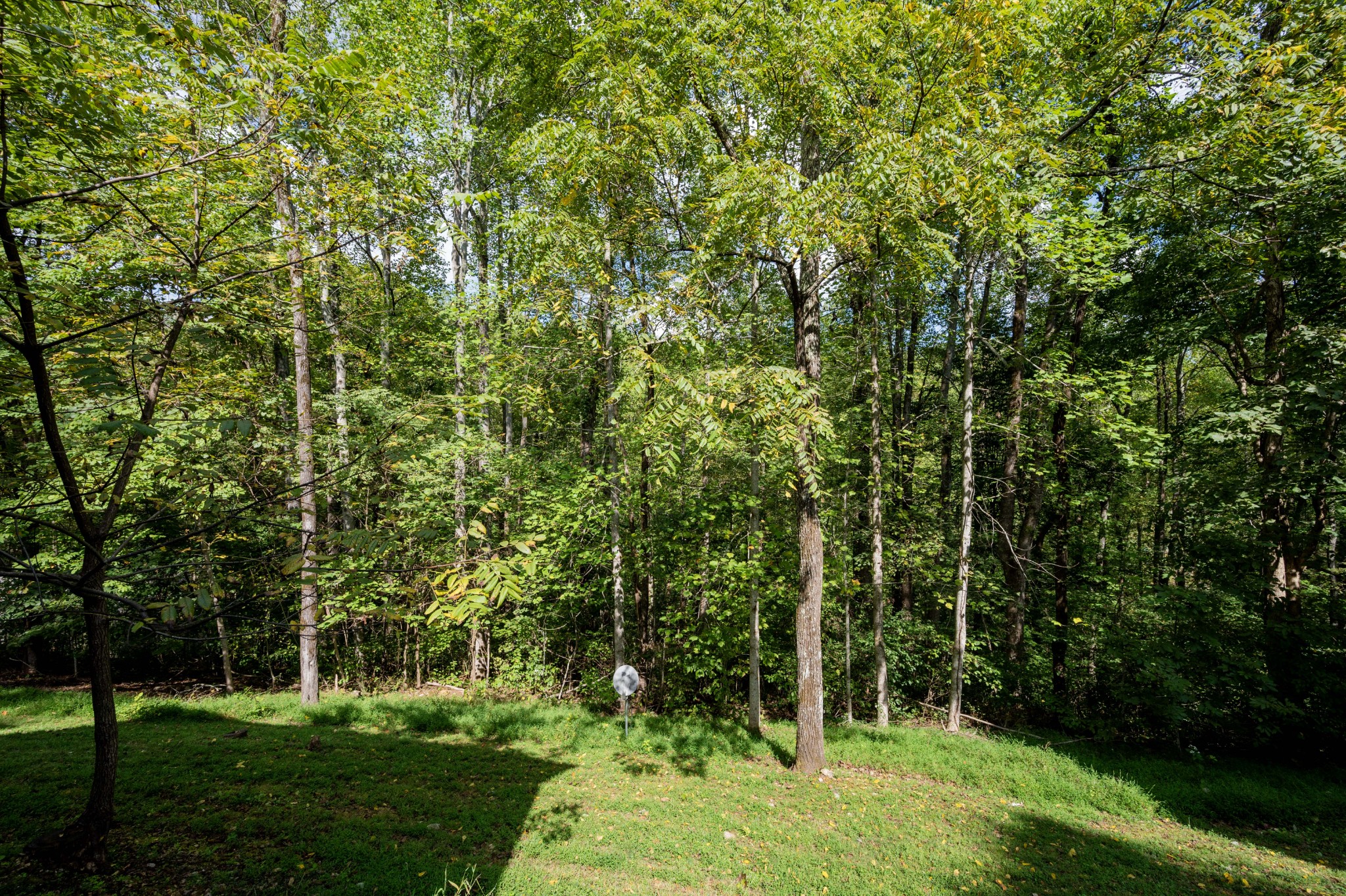 135 Village Way