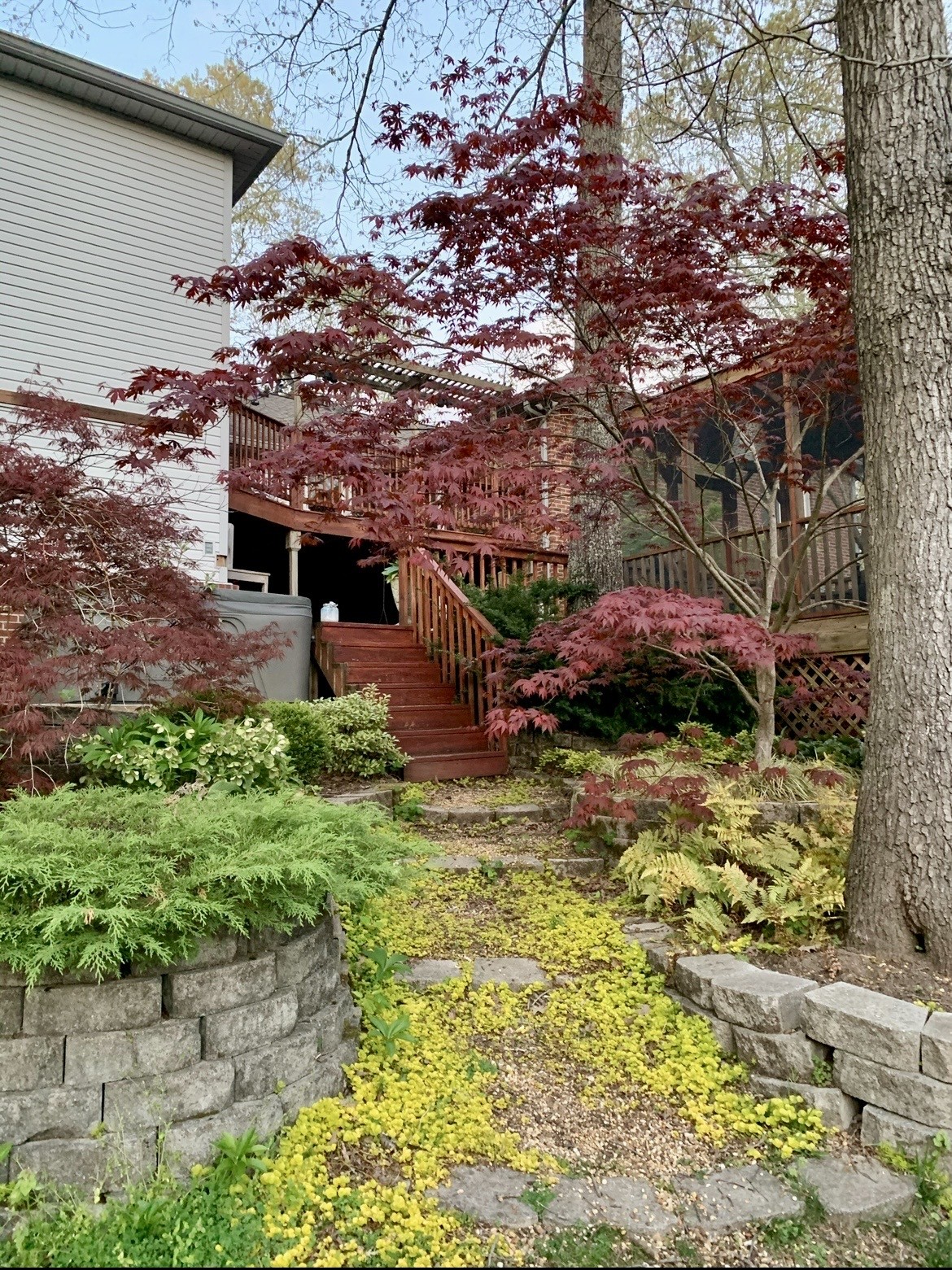 303 Woodlands Dr