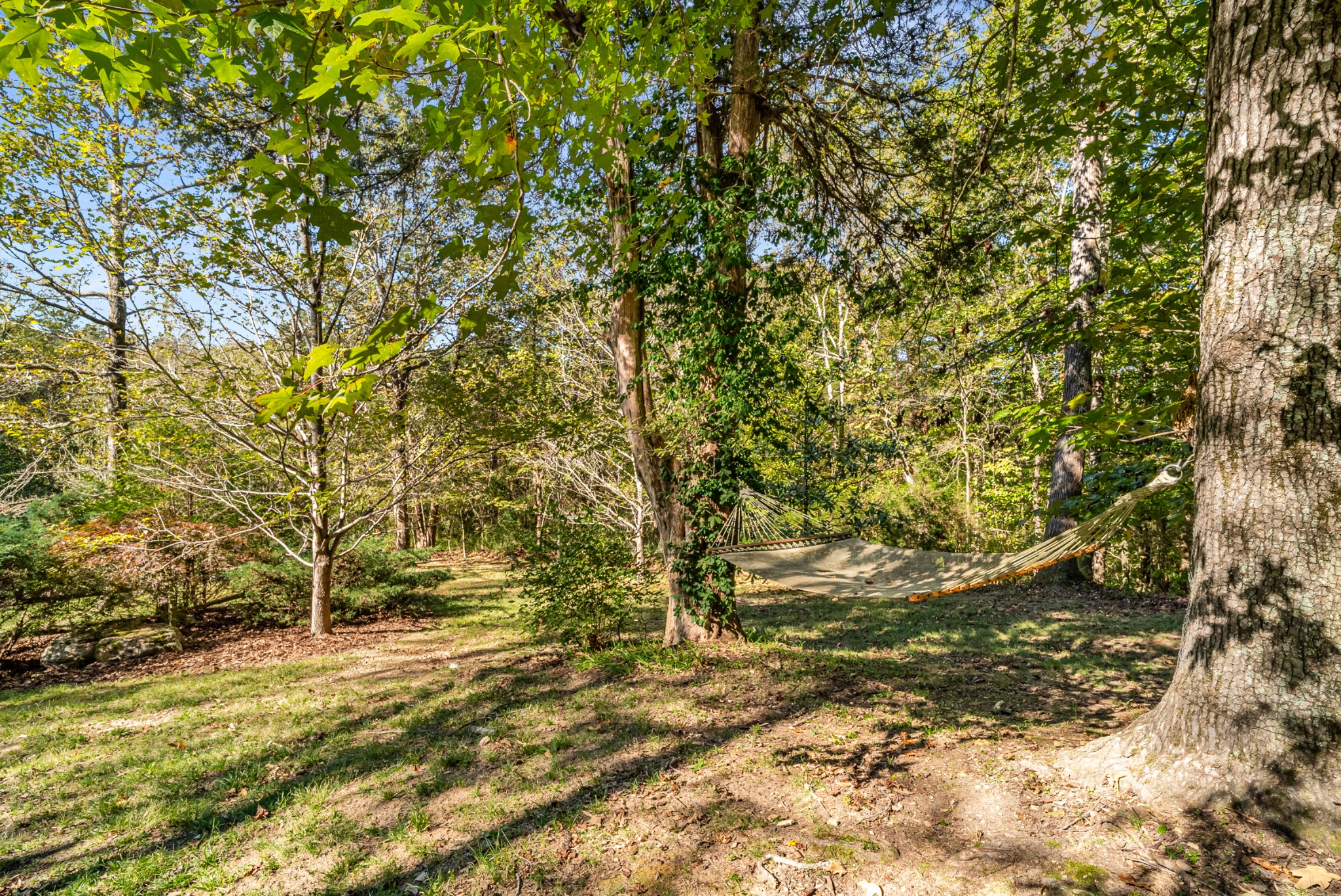 303 Woodlands Dr