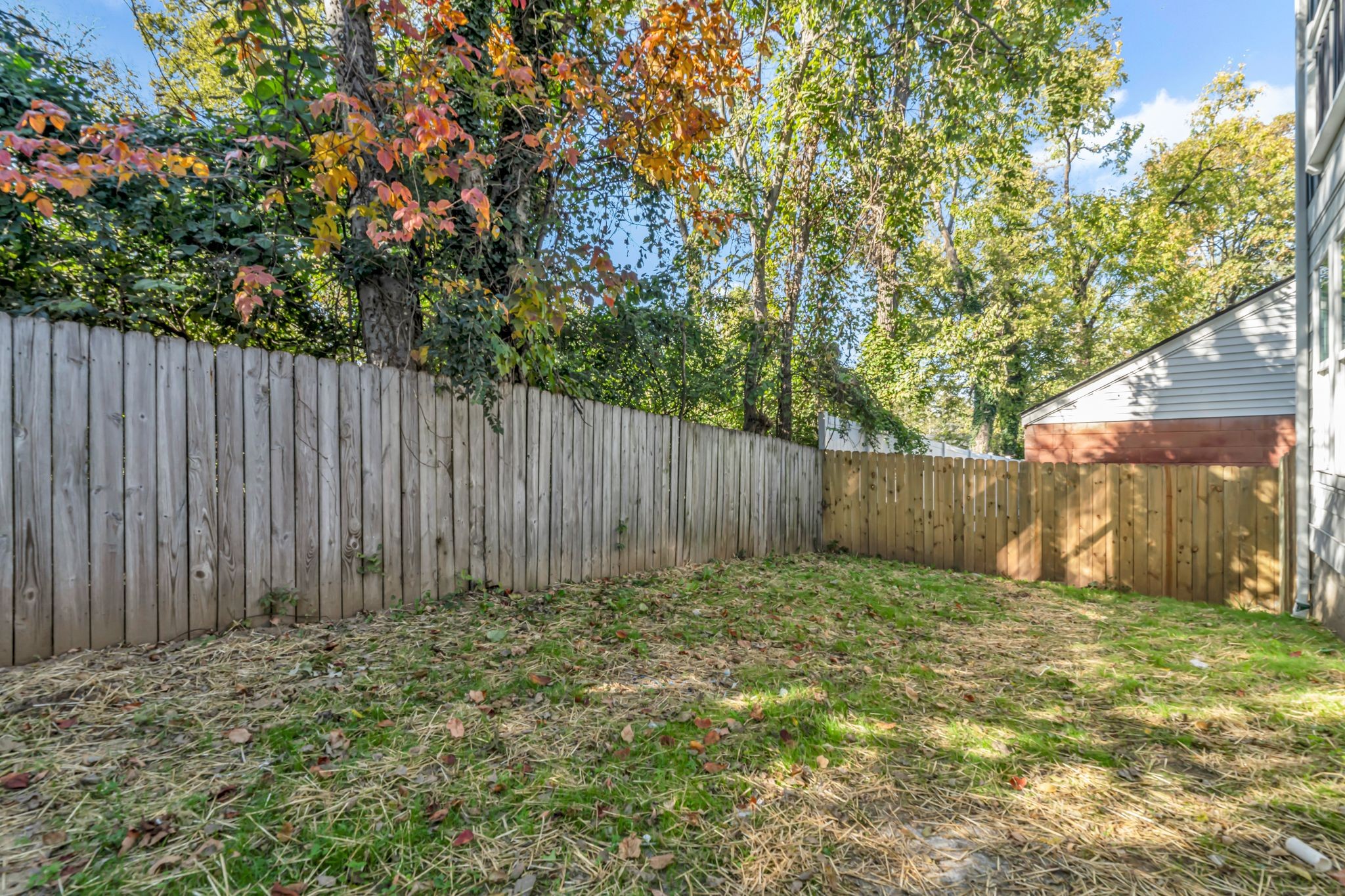 1806B Tammany Dr