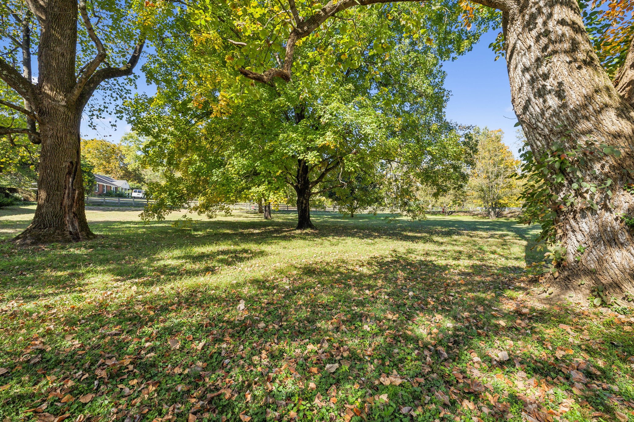 285 Haywood Ln