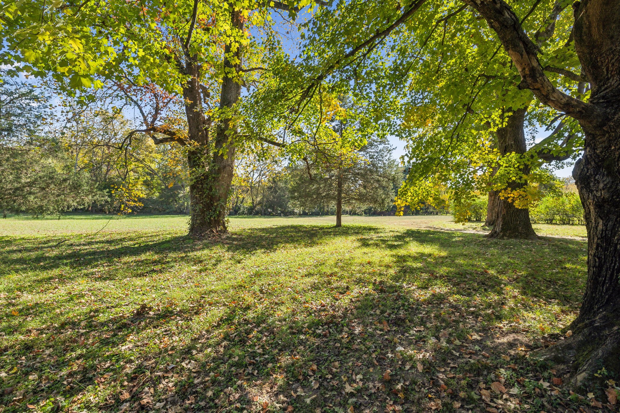 285 Haywood Ln