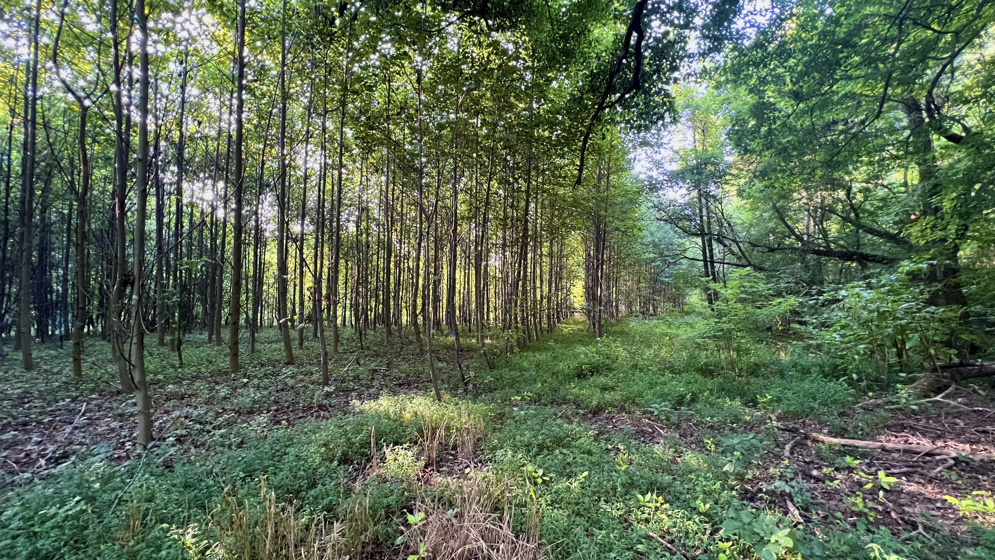 0 Union Ridge Rd
