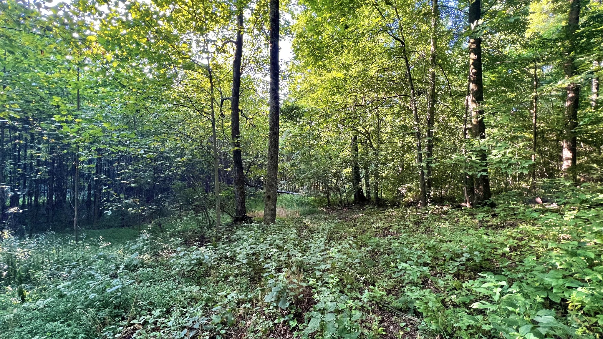 0 Union Ridge Rd