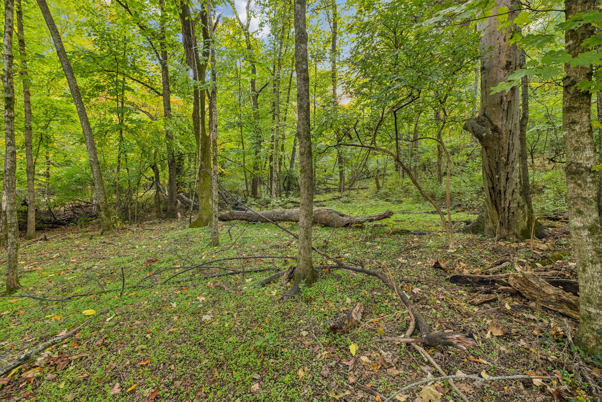 543 Turtle Creek Dr