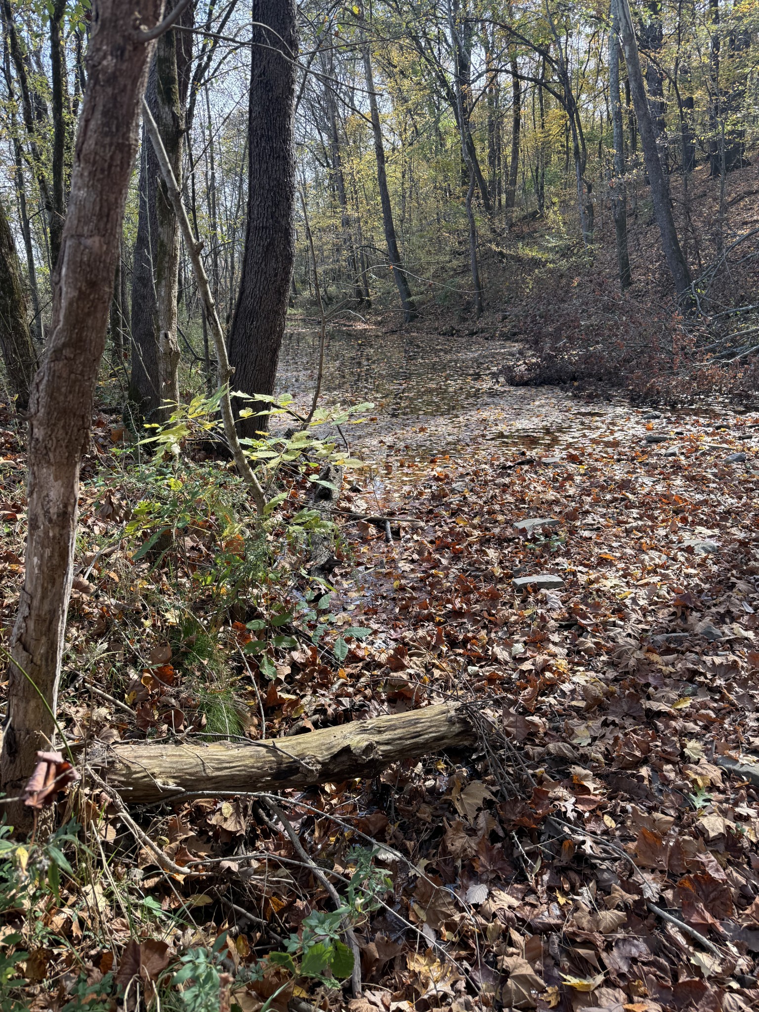 0 Bear Creek Pike
