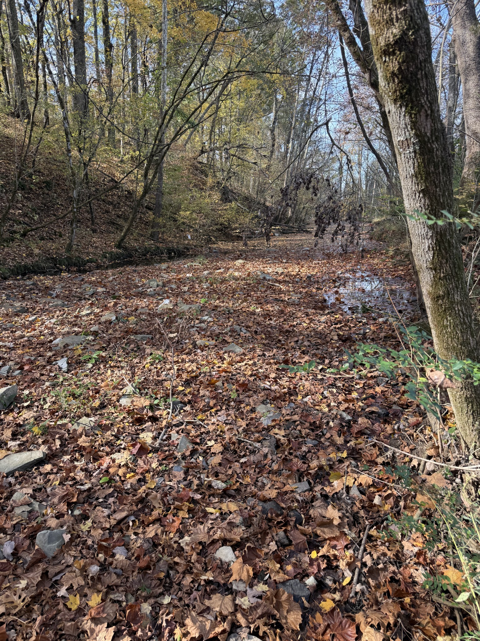 0 Bear Creek Pike