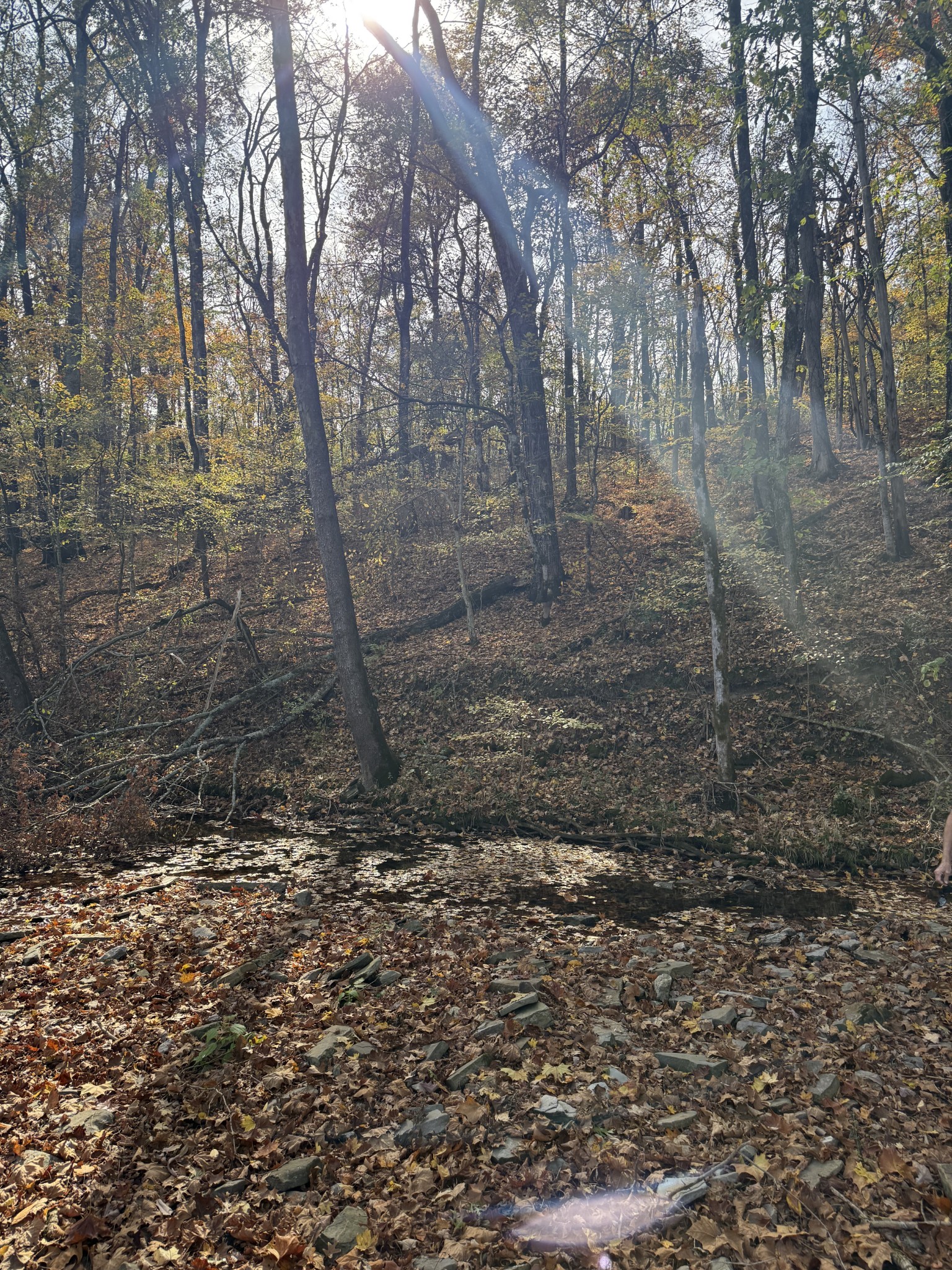 0 Bear Creek Pike