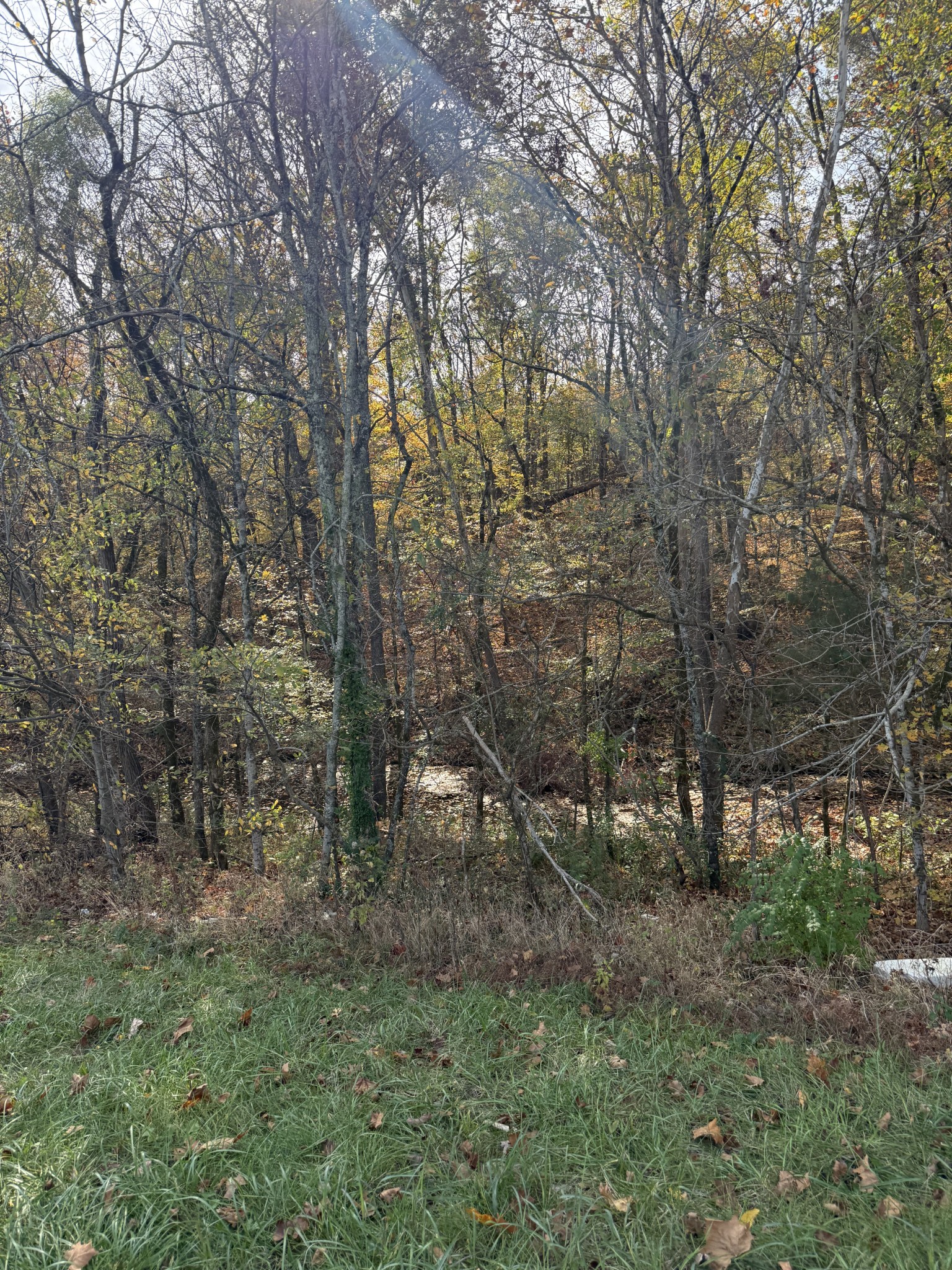 0 Bear Creek Pike