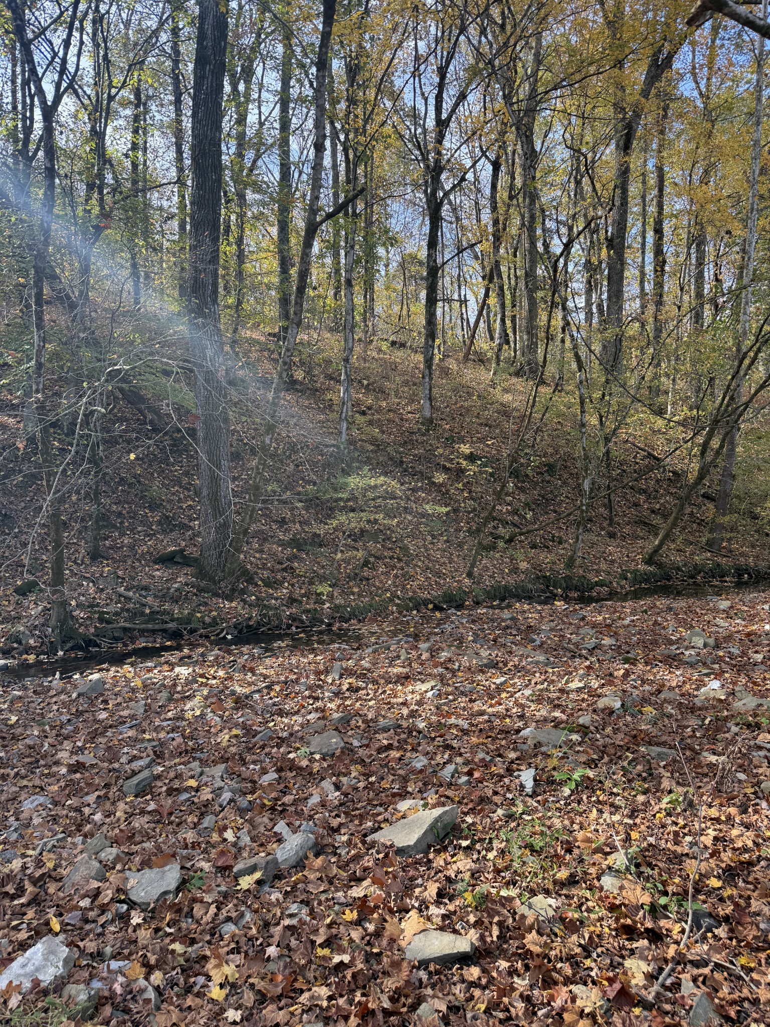 0 Bear Creek Pike