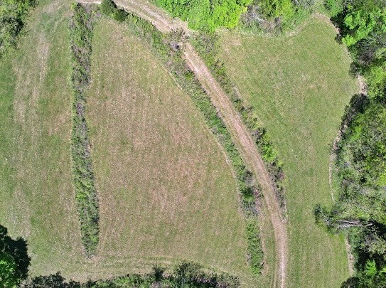 1704 Burke Hollow Rd