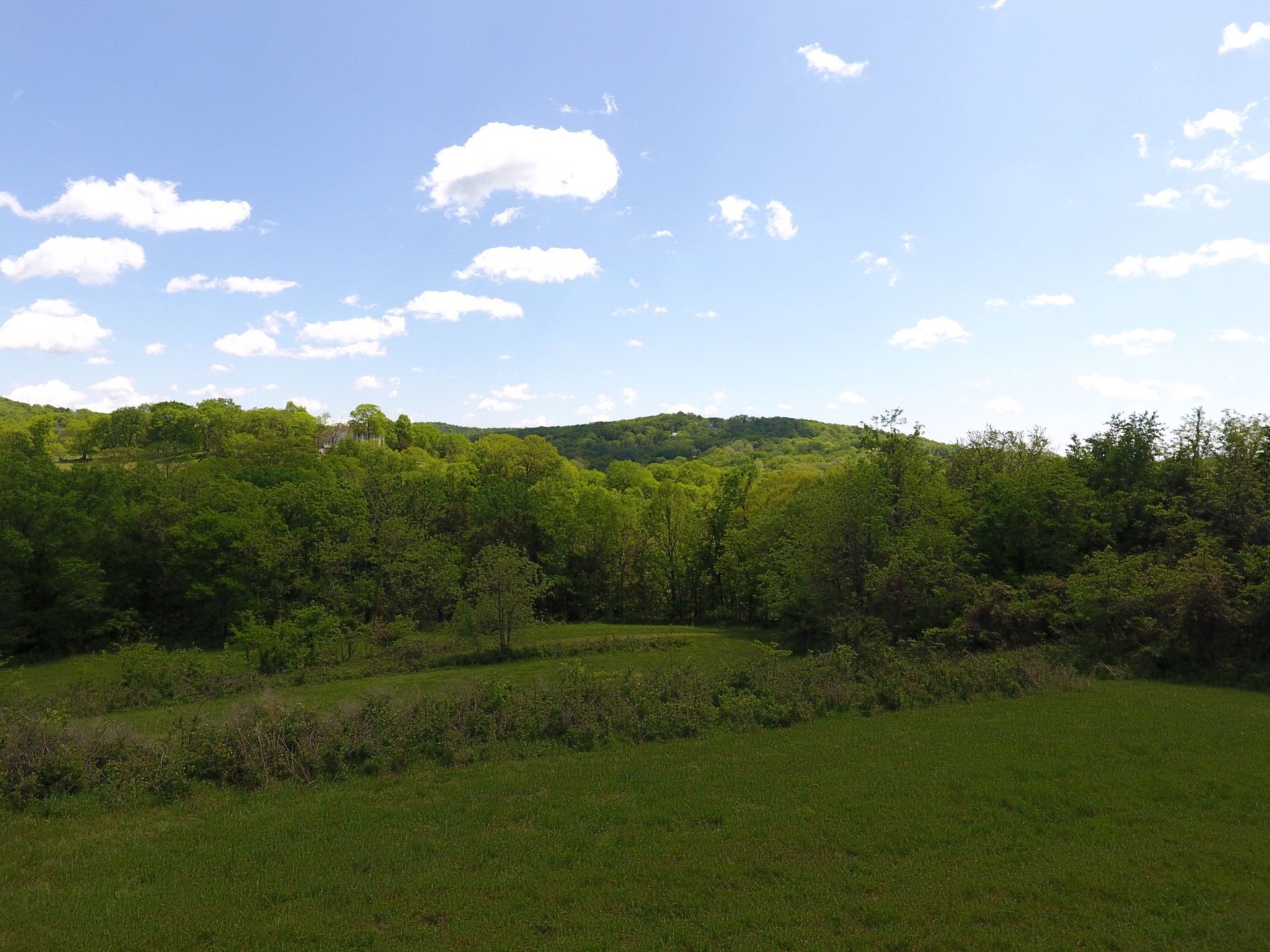 1704 Burke Hollow Rd