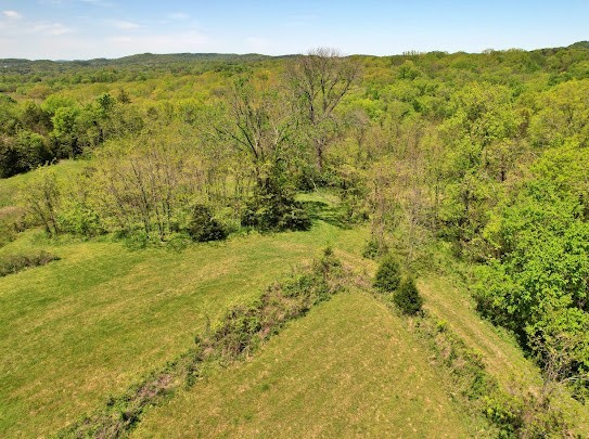 1704 Burke Hollow Rd