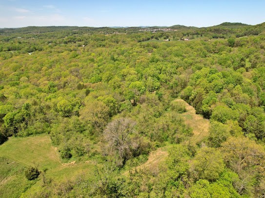 1704 Burke Hollow Rd