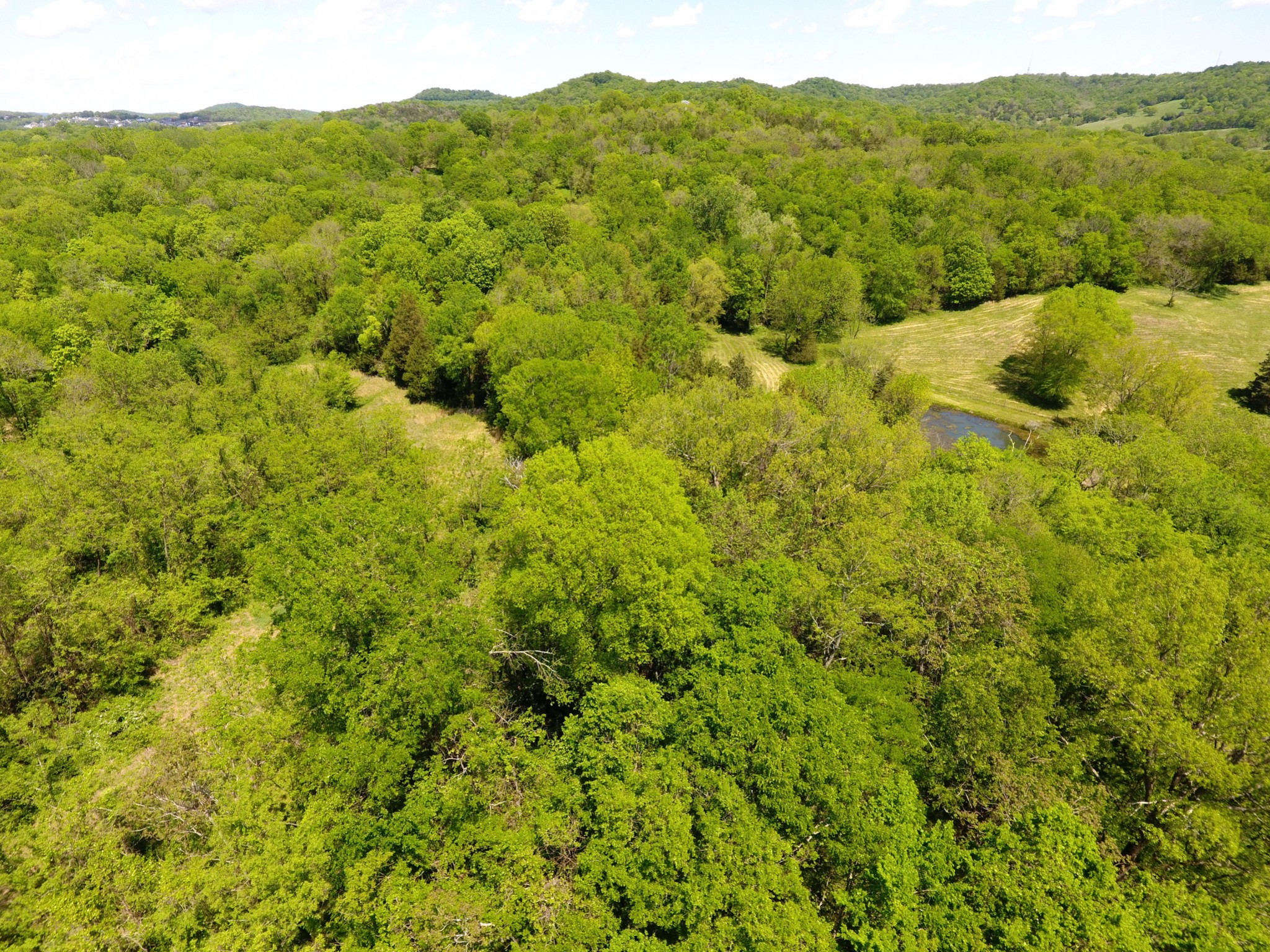 1704 Burke Hollow Rd