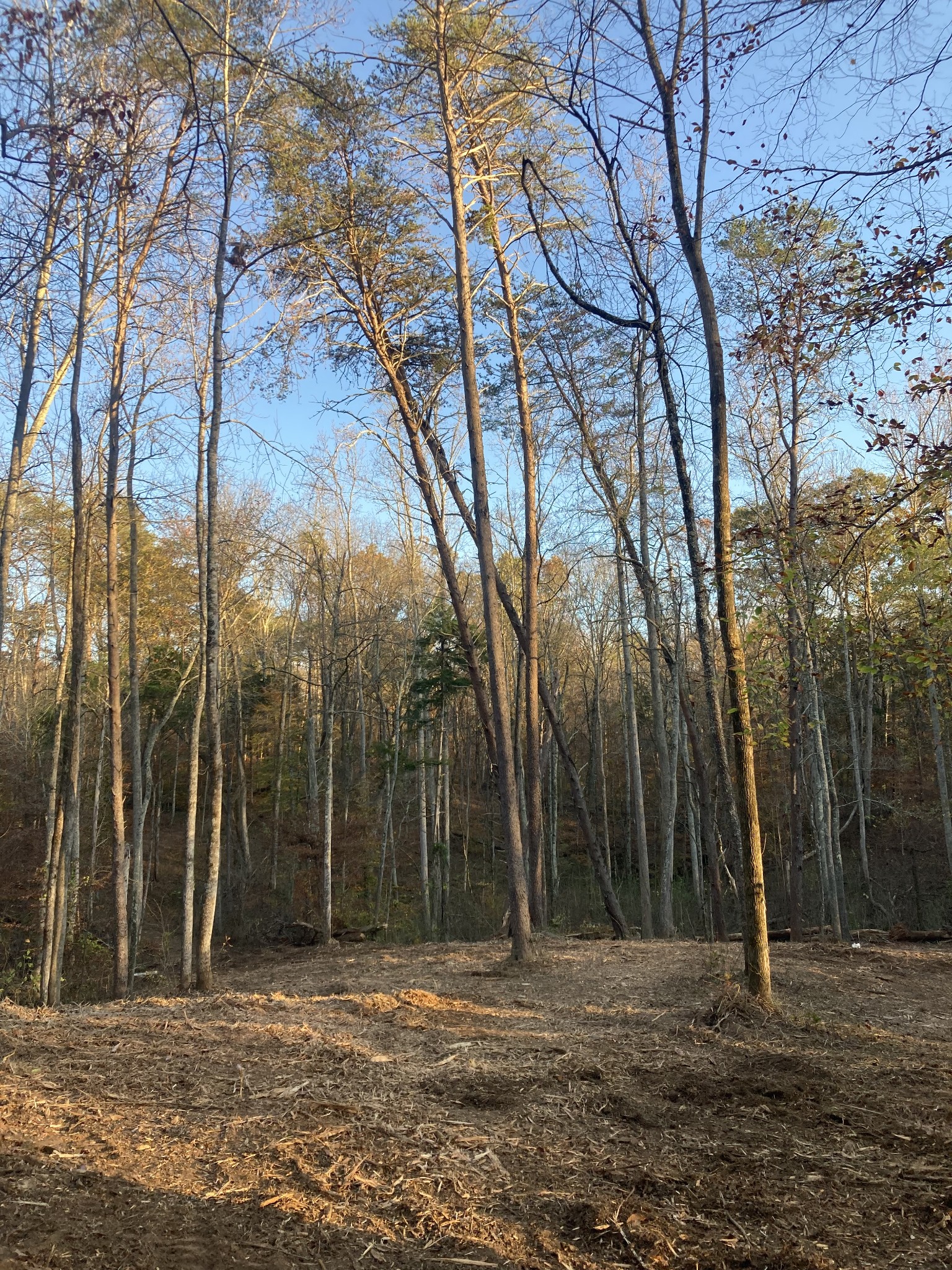 0 Ranches at Hidden River Pr