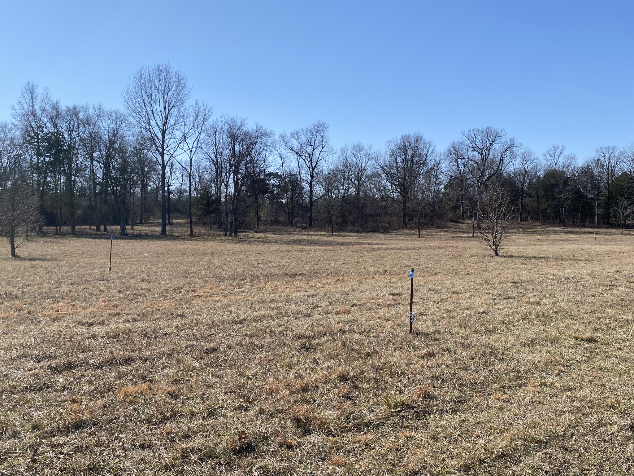 11239 Karo Rd