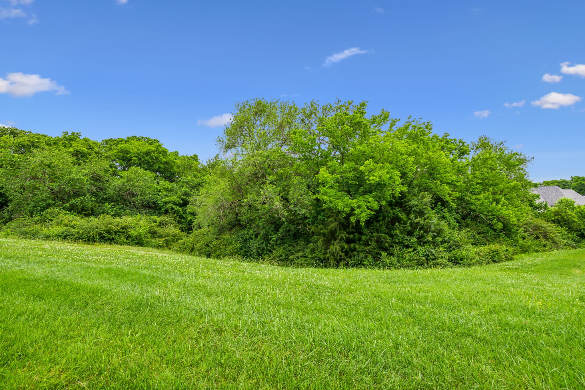 1438 Championship Blvd