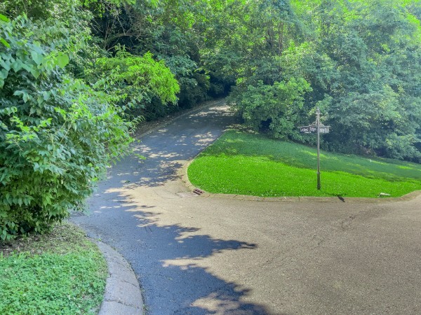 1007 Lookout Ridge Court