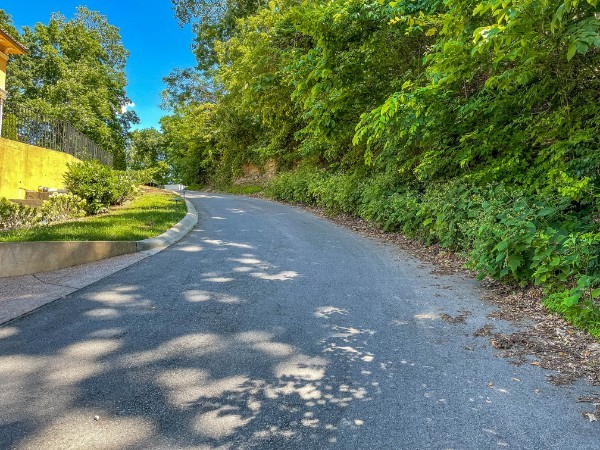 1007 Lookout Ridge Court