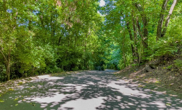 1007 Lookout Ridge Court