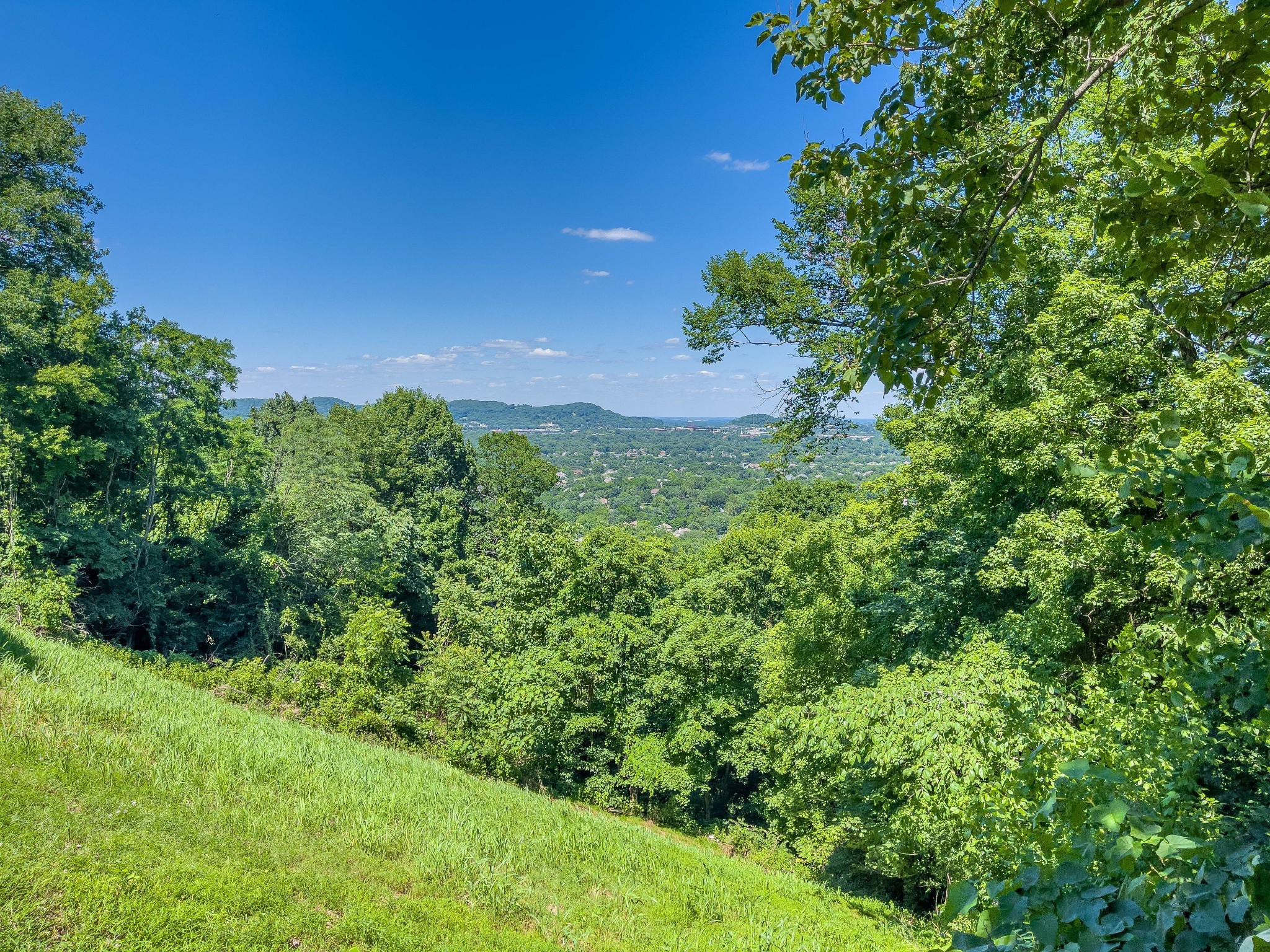 1007 Lookout Ridge Court