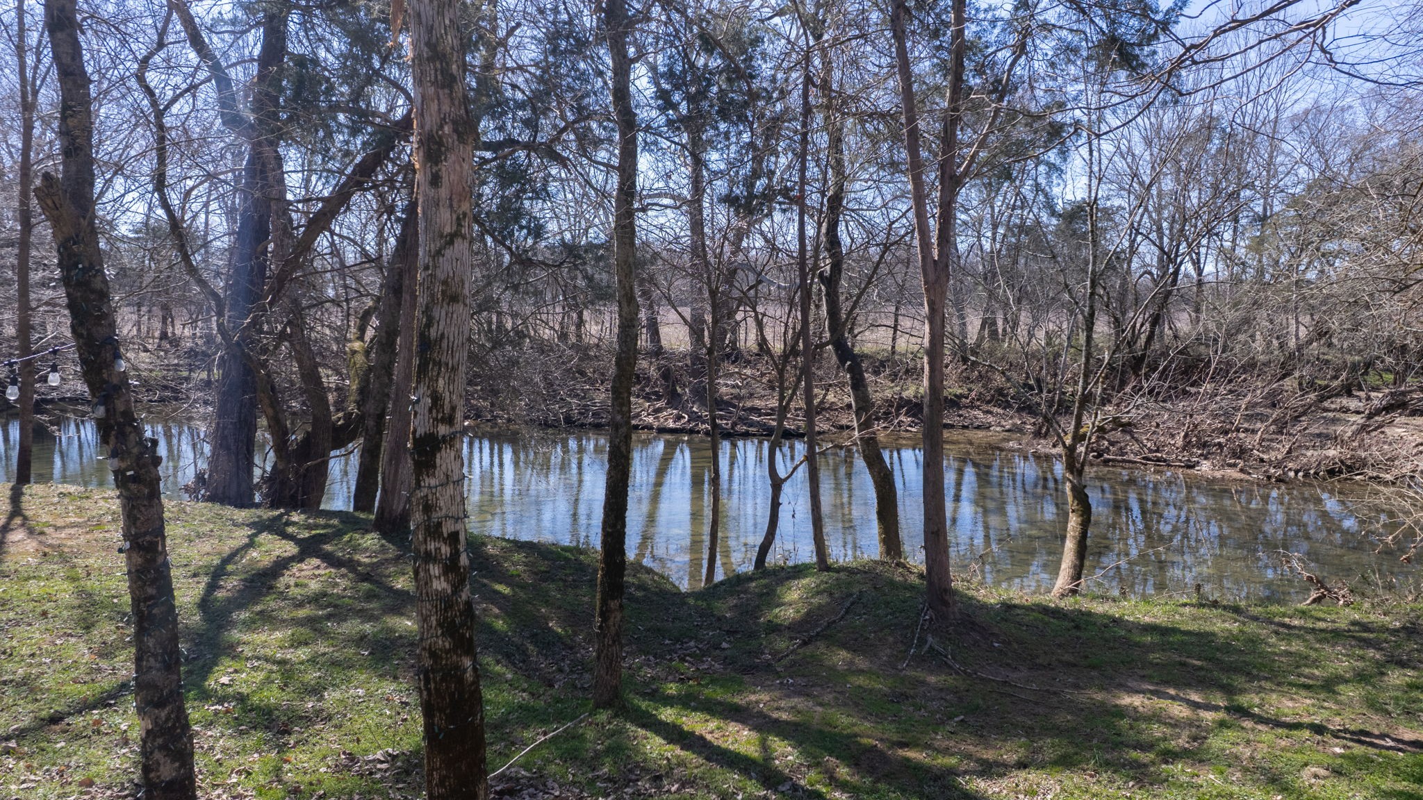 1007 Watercress Ct