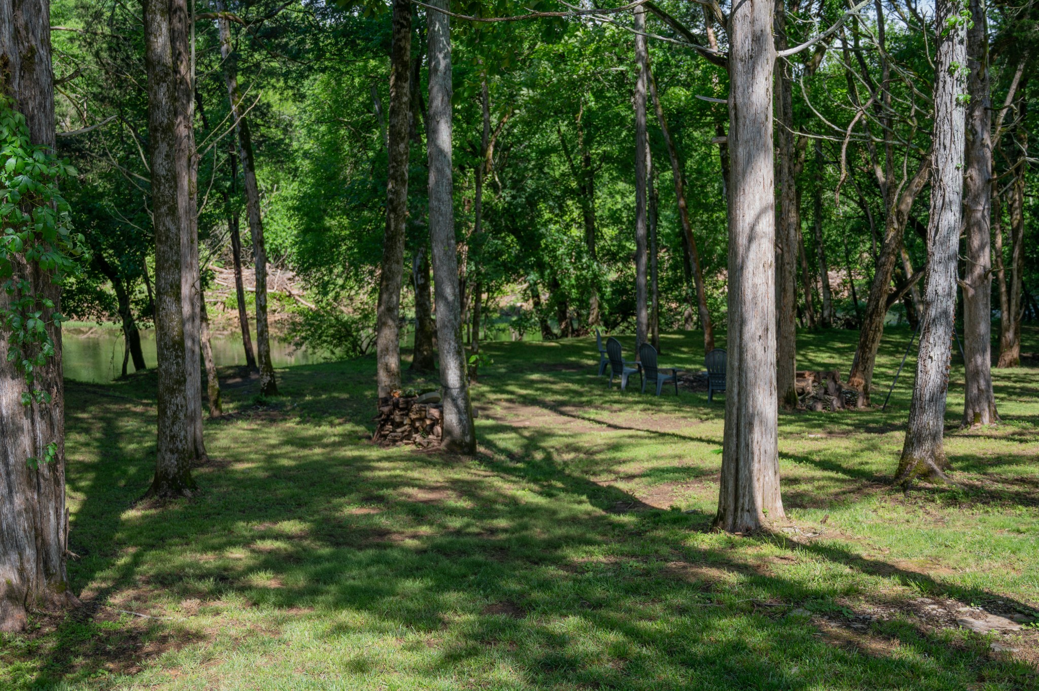 1007 Watercress Ct