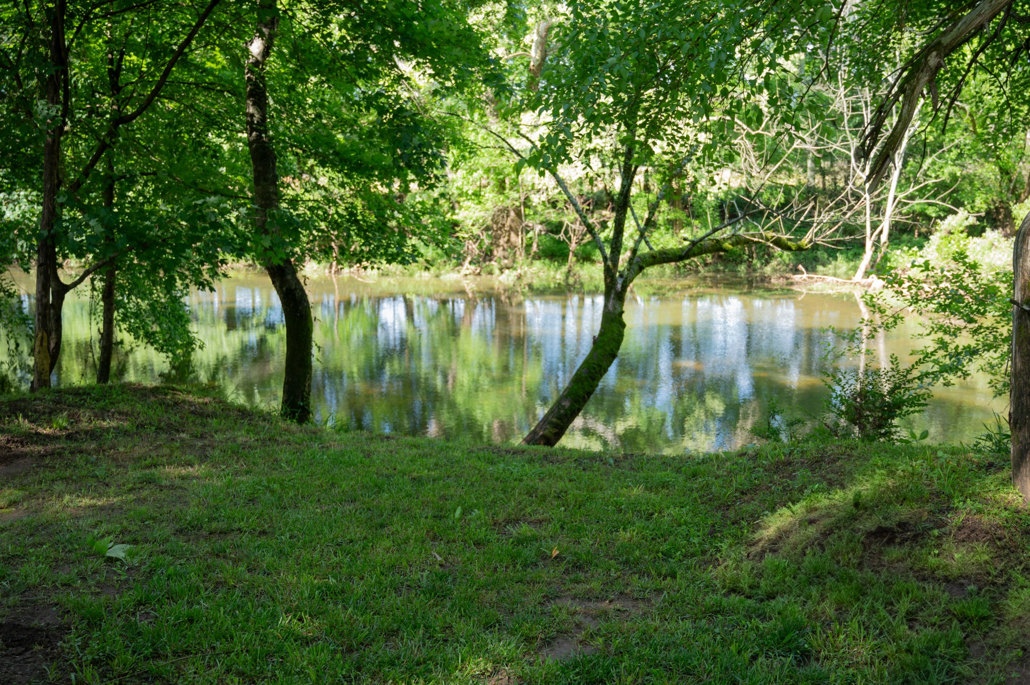 1007 Watercress Ct