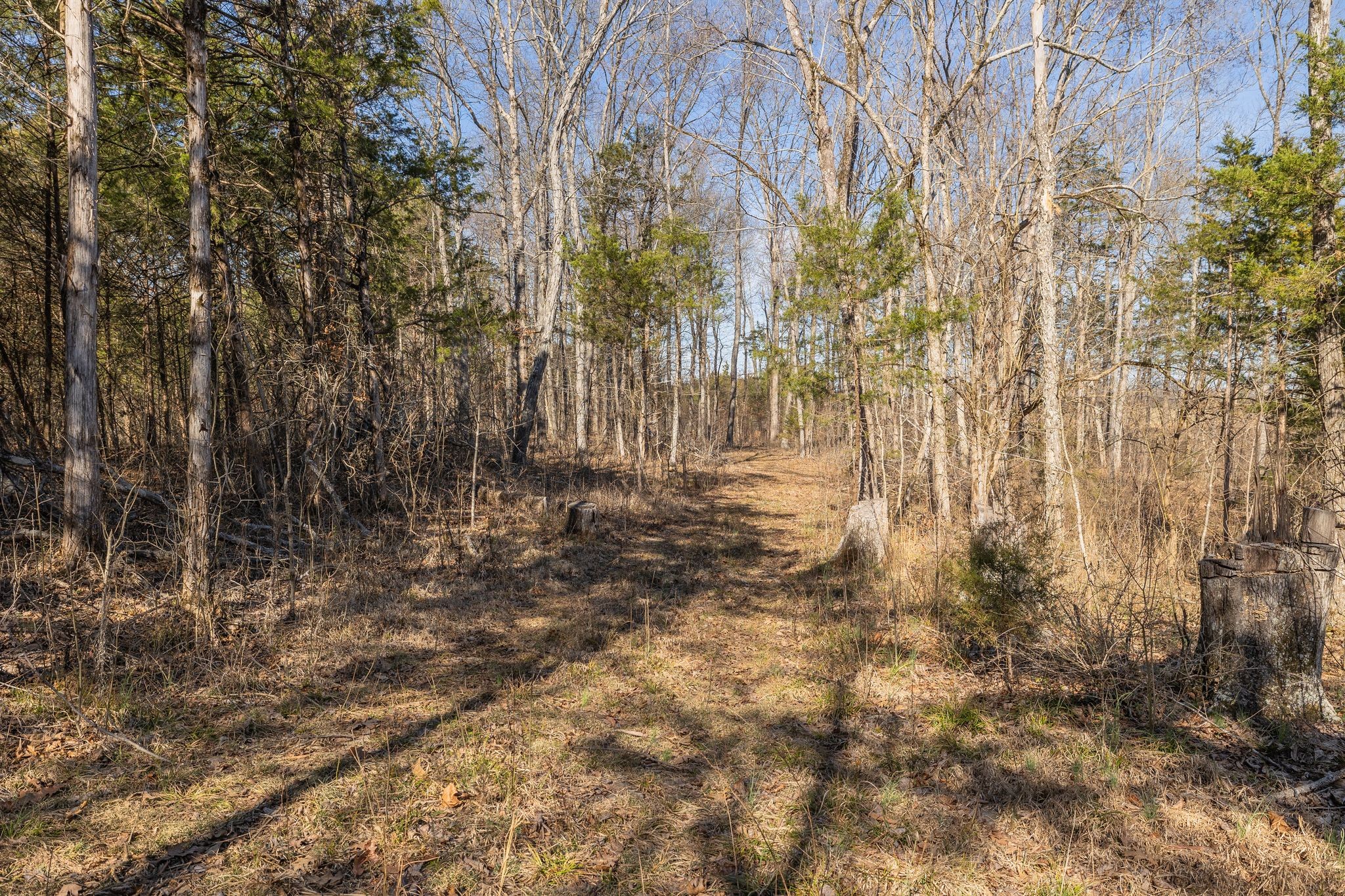 213 Scales Rd