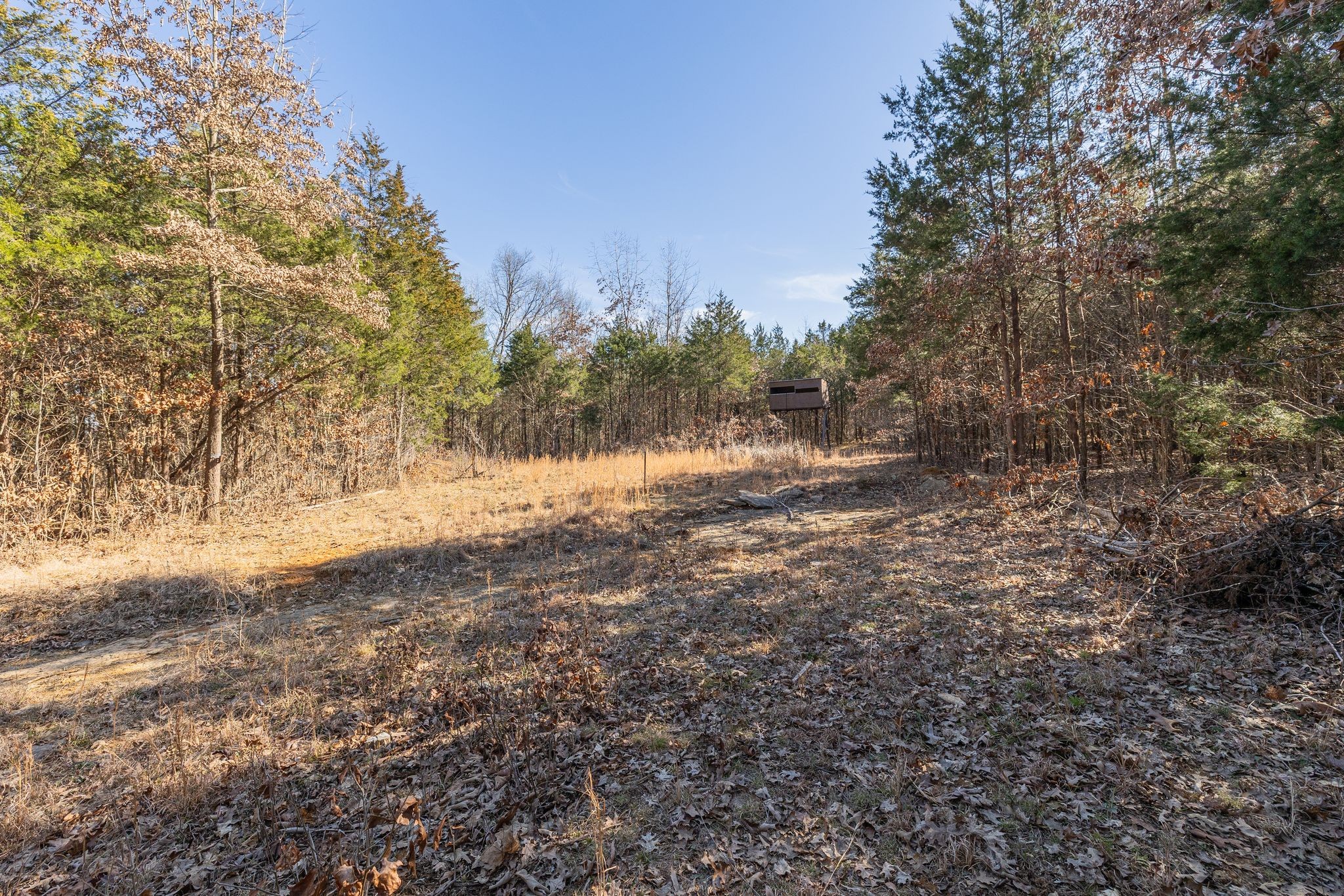213 Scales Rd